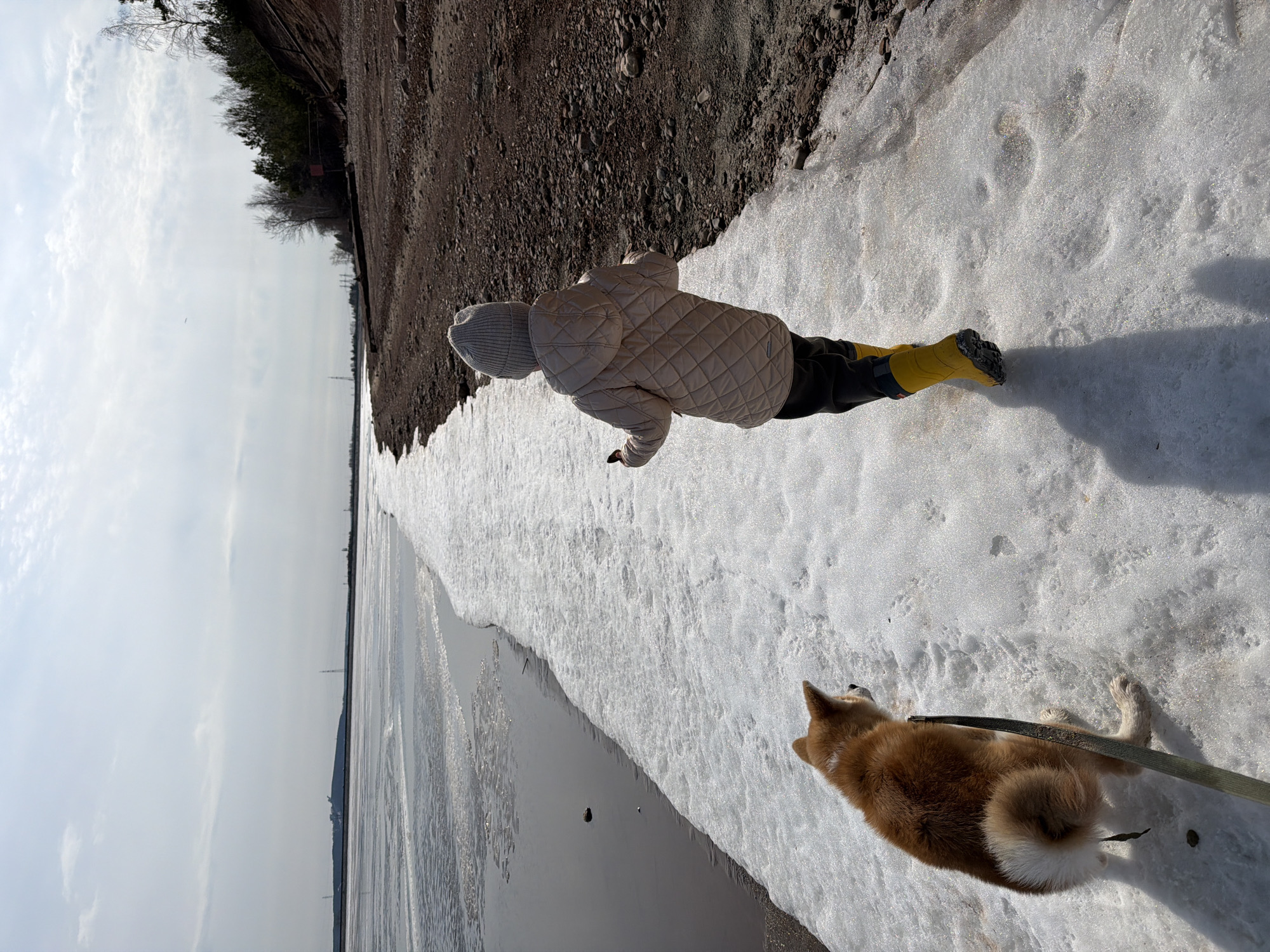 Dog walker visits frozen Kama River in Chaikovsky