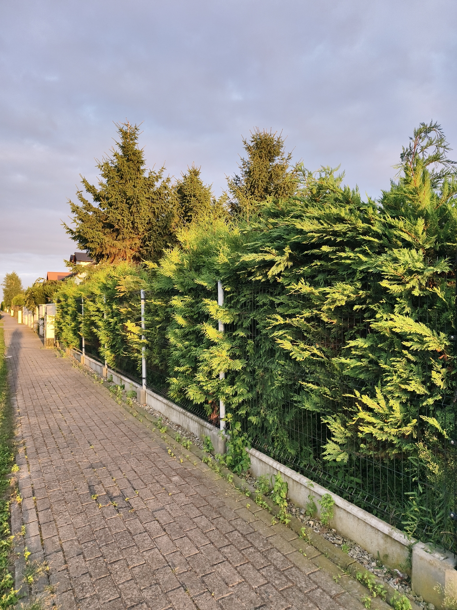 Tczew neighborhood at golden hour, bike paths and sunset skies