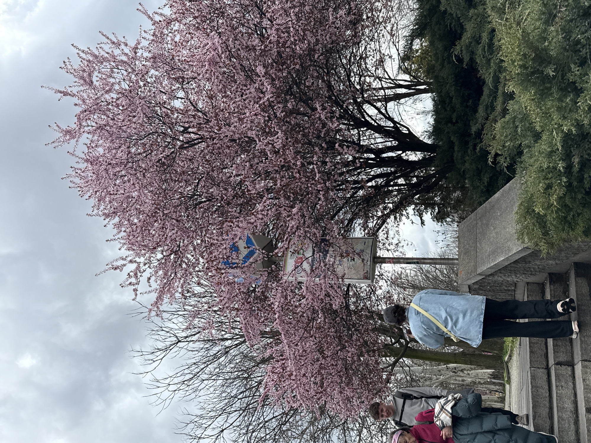 Sofia resident captures spring city scenes, amusement rides