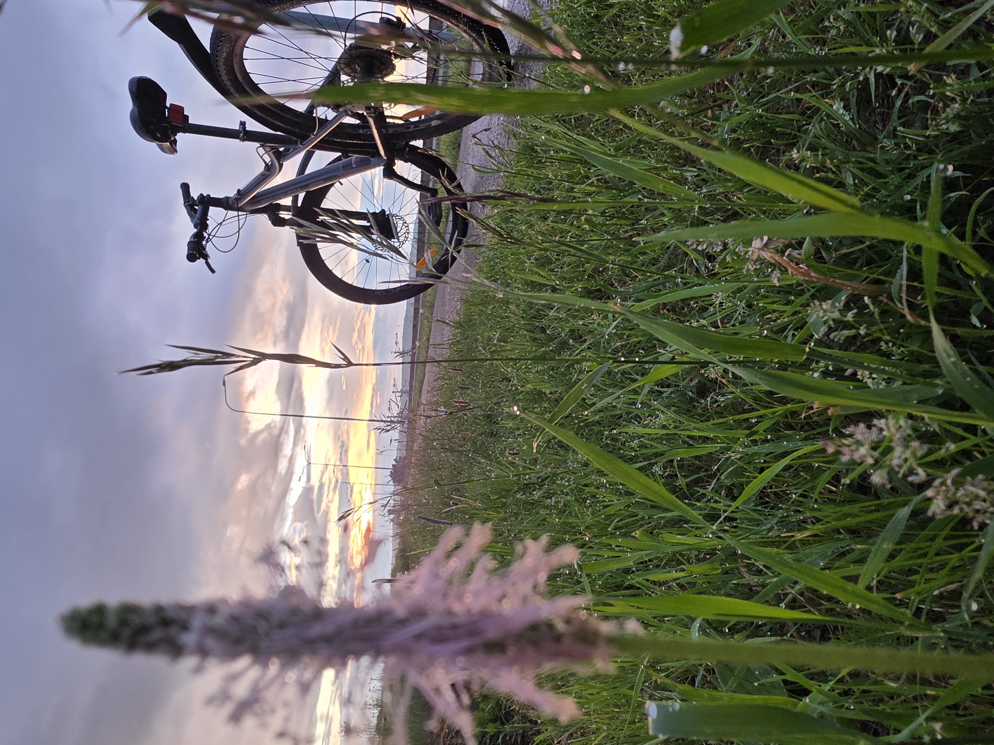 Evening cyclist spotted on pathway in Chaikovsky, Russia