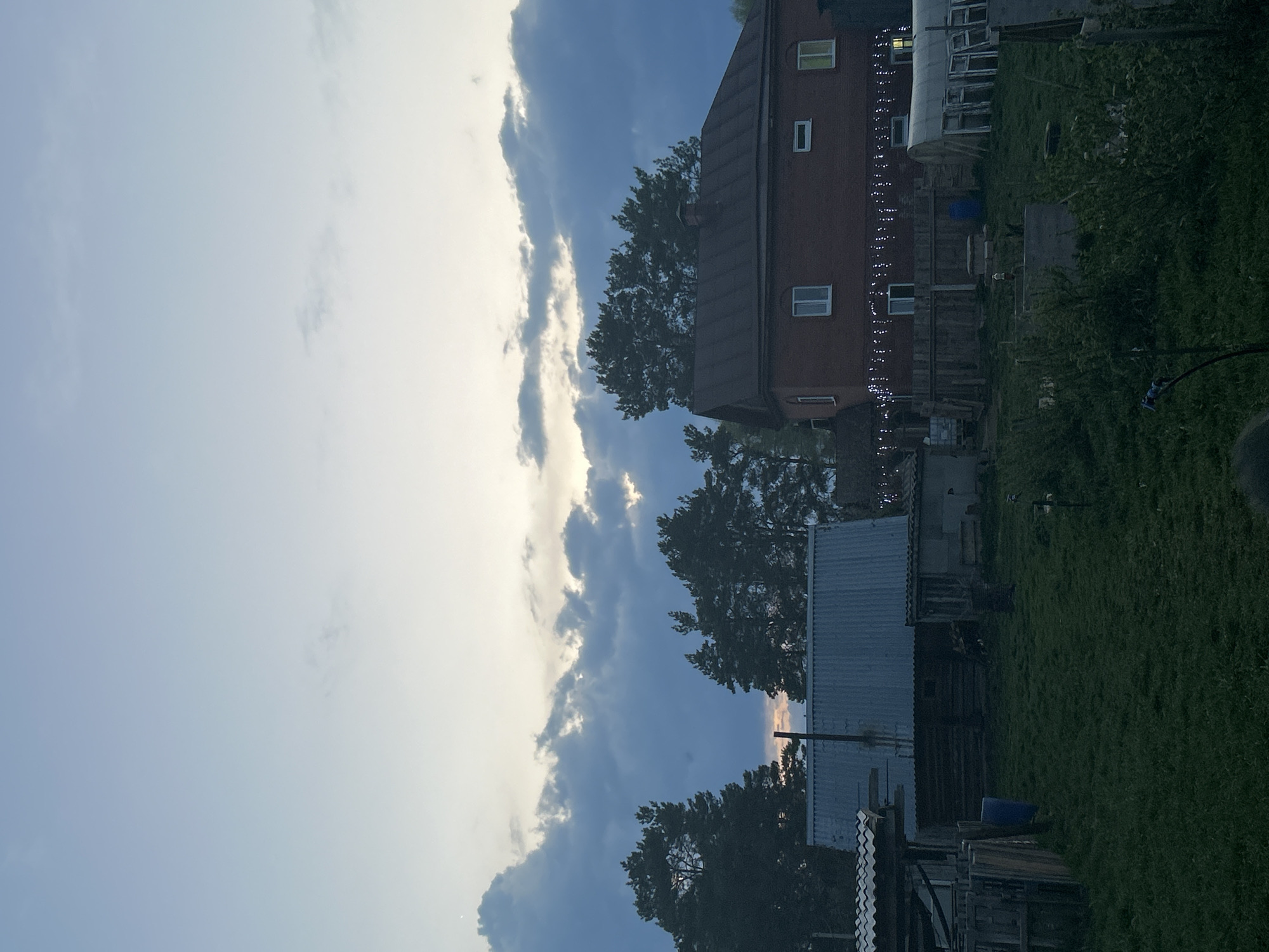 Village life unfolds in Rusalevka: children, families, dogs