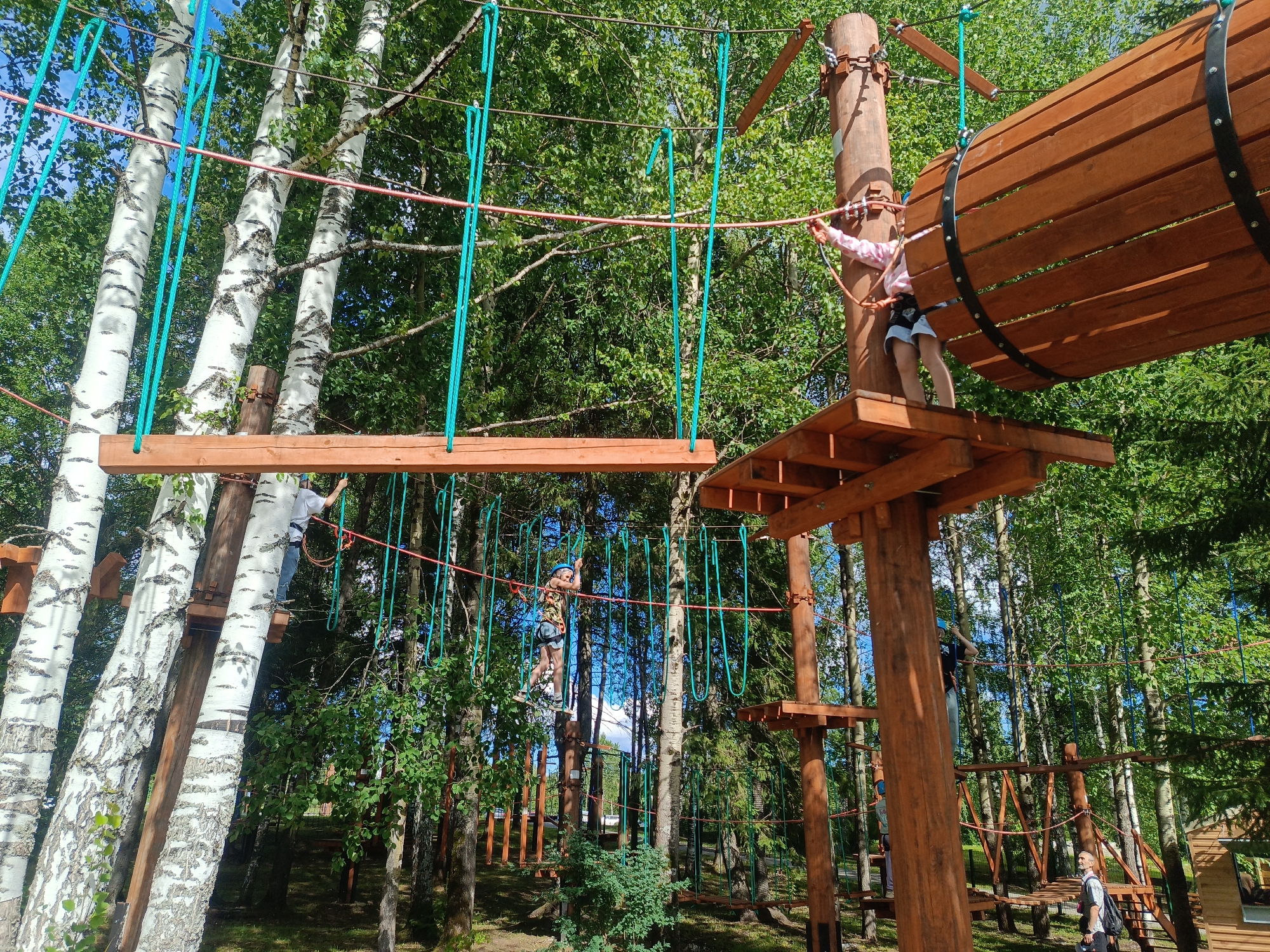 Ropes course adventure in a birch forest, Chusovoy