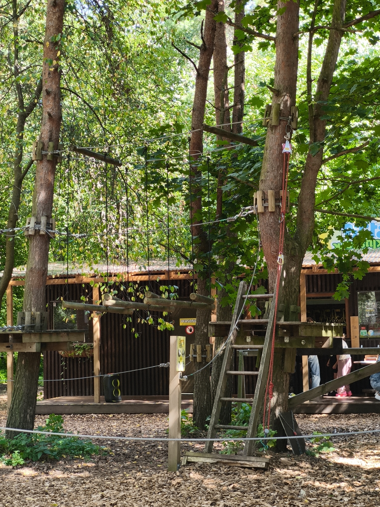 Treetop ropes course in a Tallinn forest, August 2026