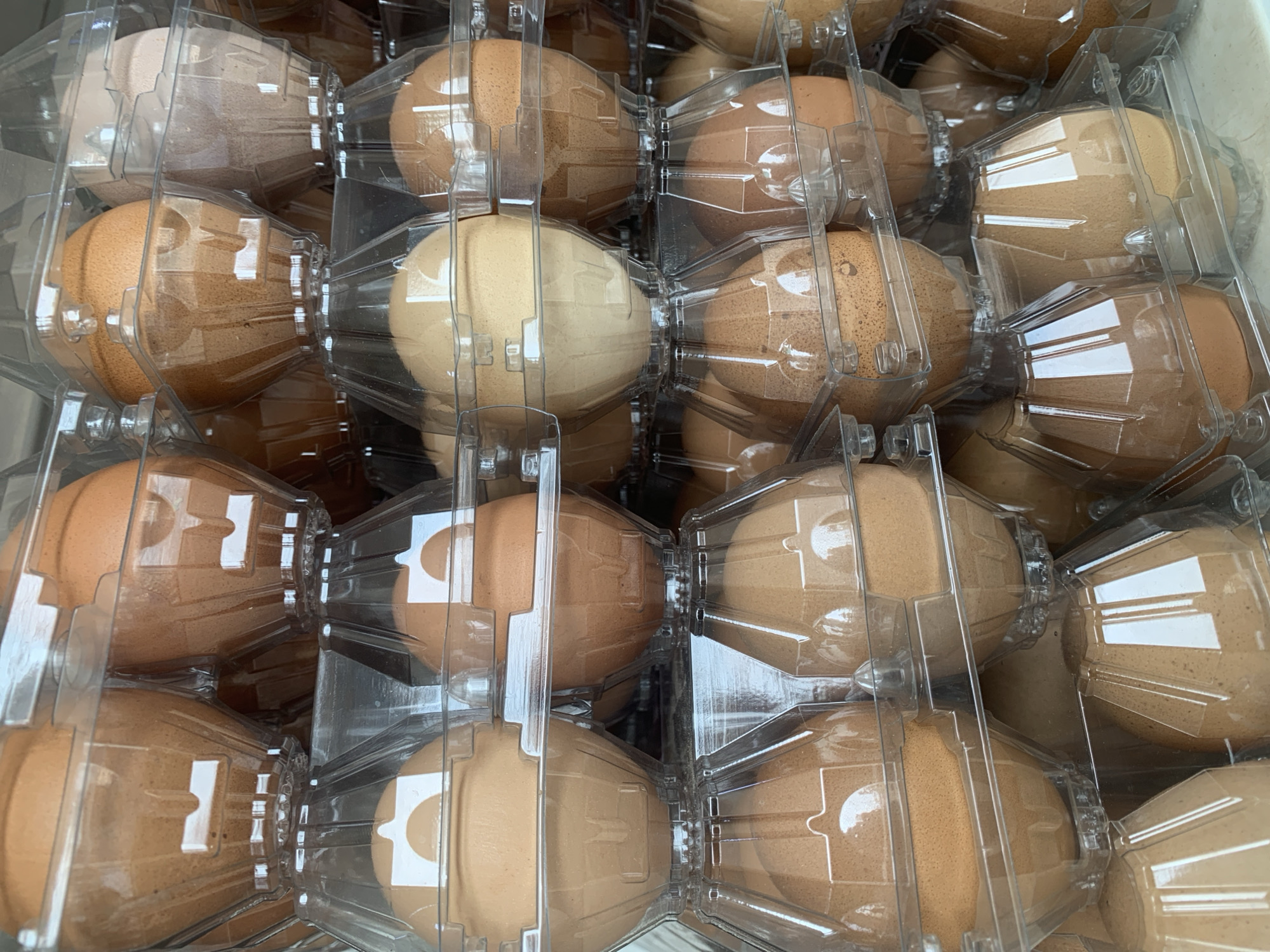 Everyday retail and food items documented across morning hours