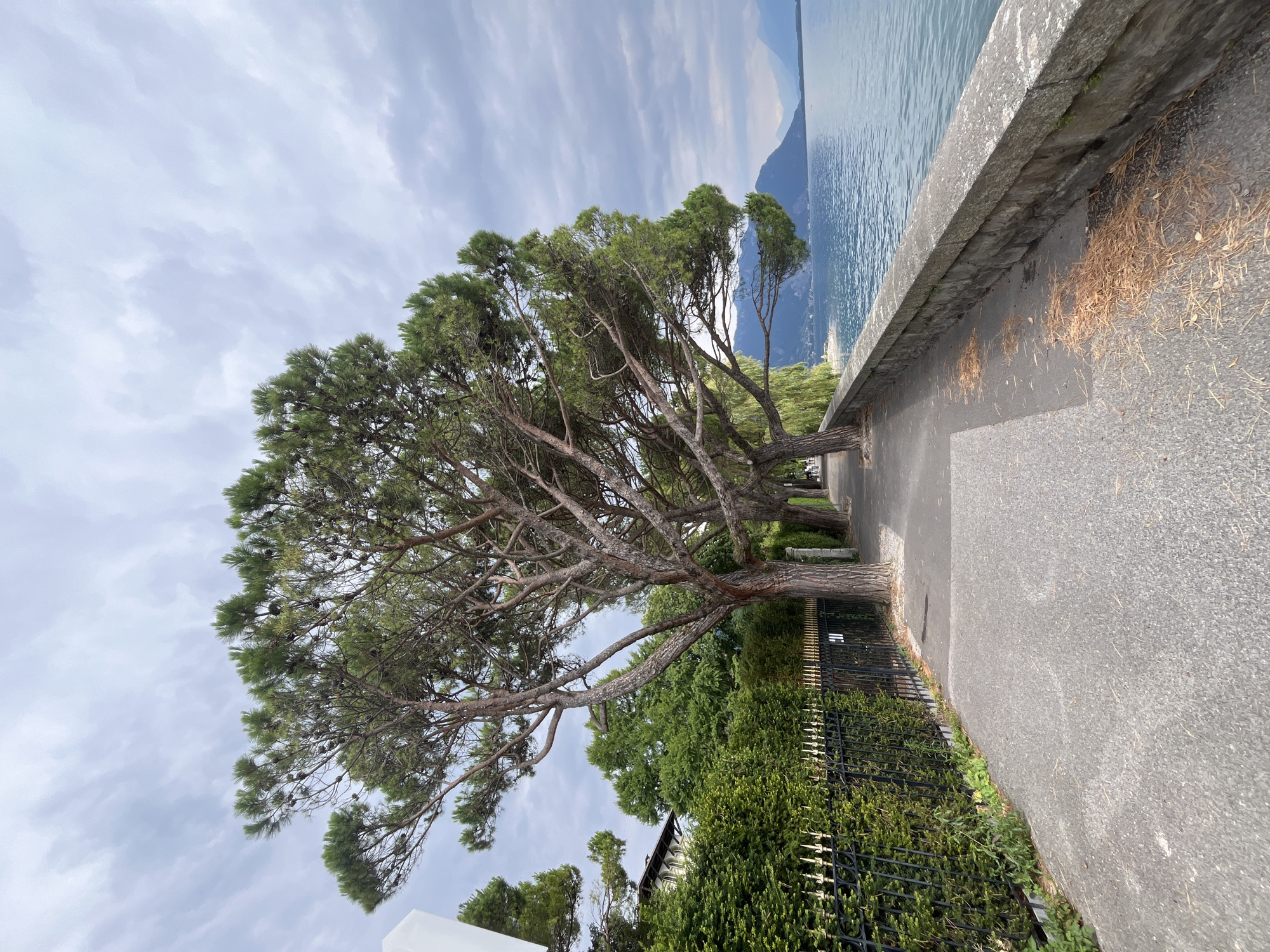 Montreux lakefront: promenade, graffiti murals, and Alpine views