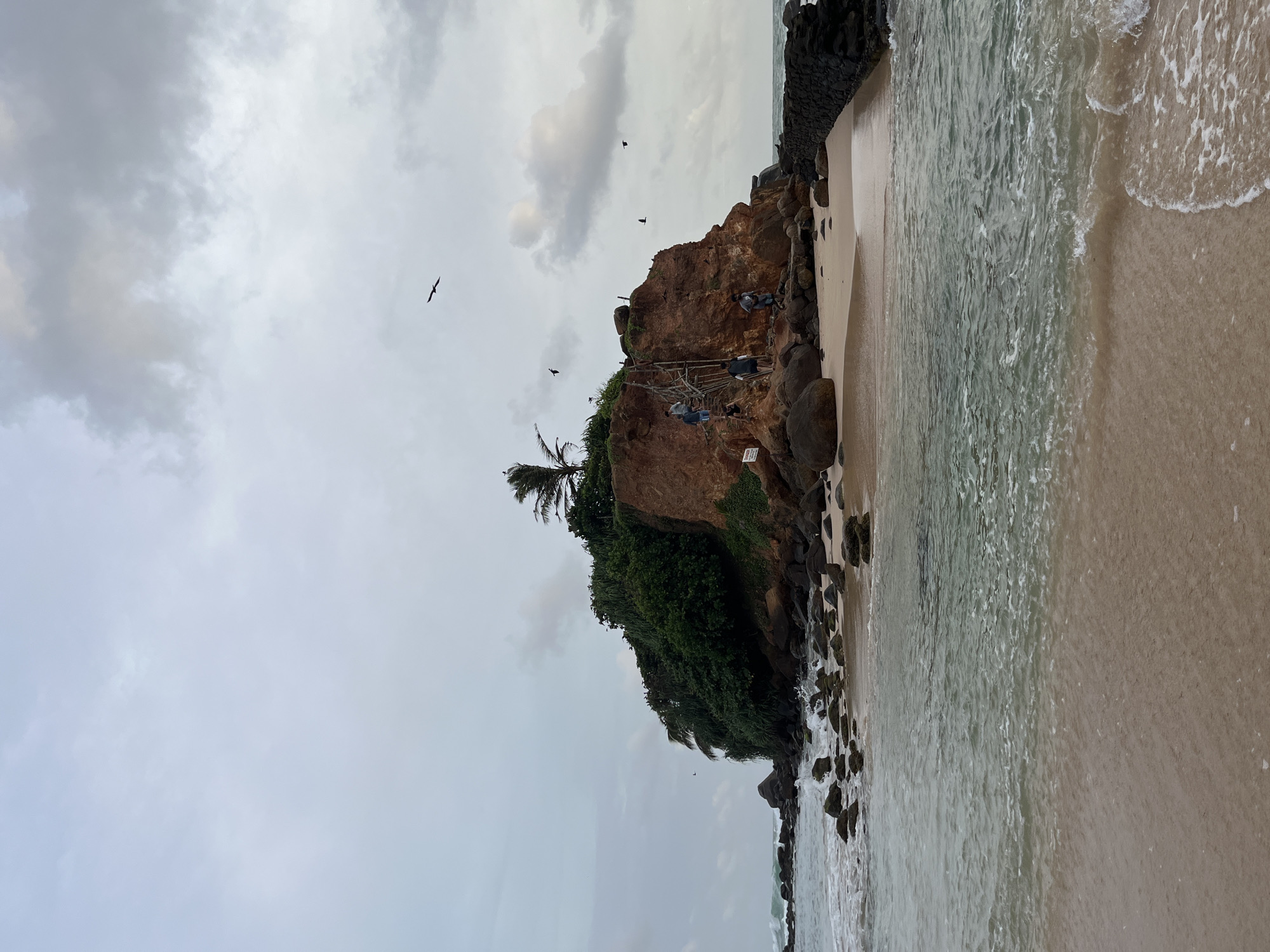 Rugged Sri Lankan beach with crows, a dog, and coastal rock formations