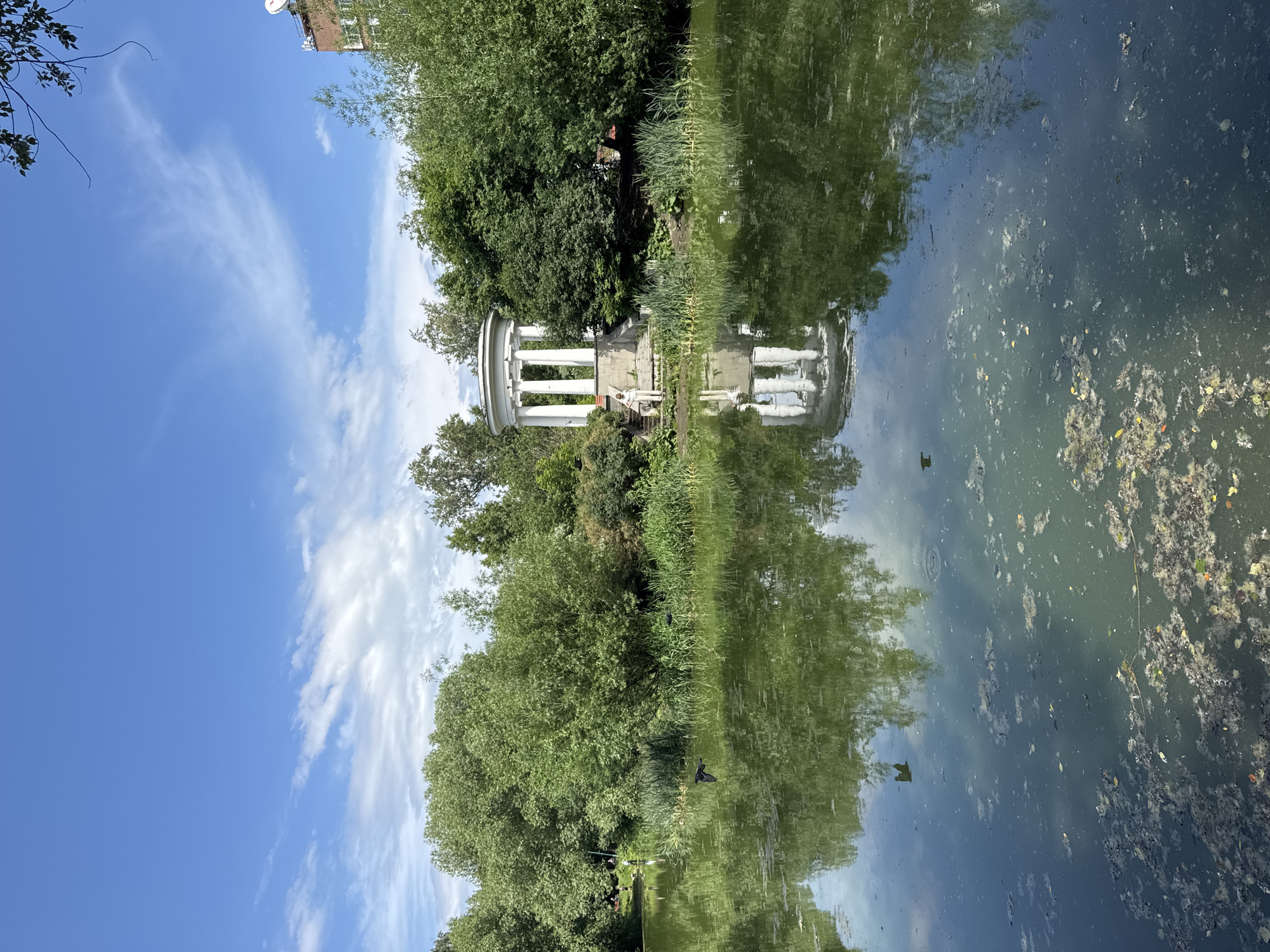 Feeding birds at a Yekaterinburg park pond on a summer morning