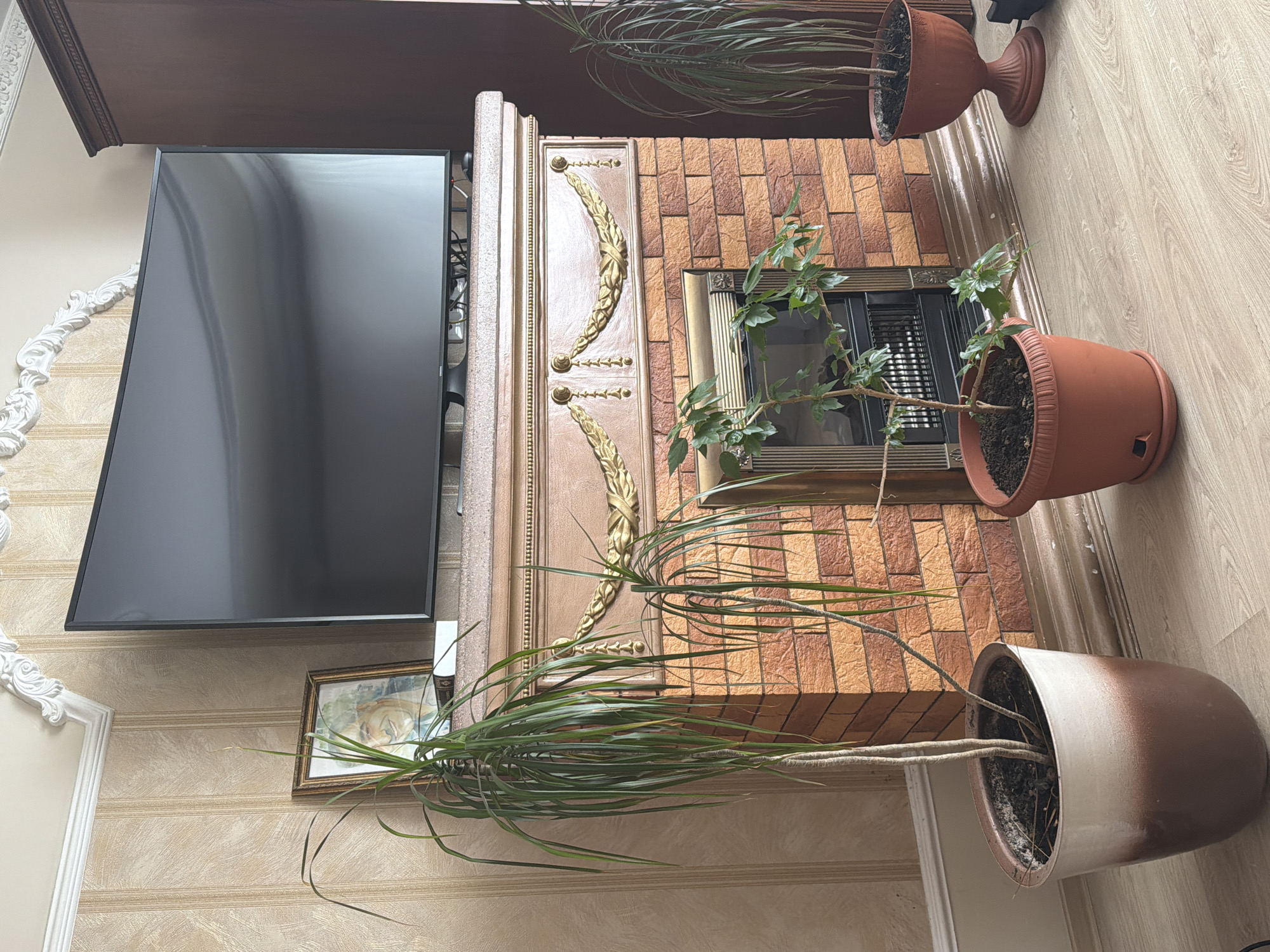 Morning domestic scenes captured in Krasnoyarsk home
