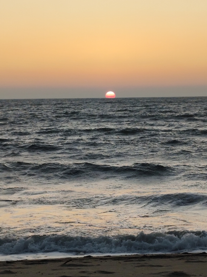 Sunset documented at Querim Beach, Goa with beachgoers and animals