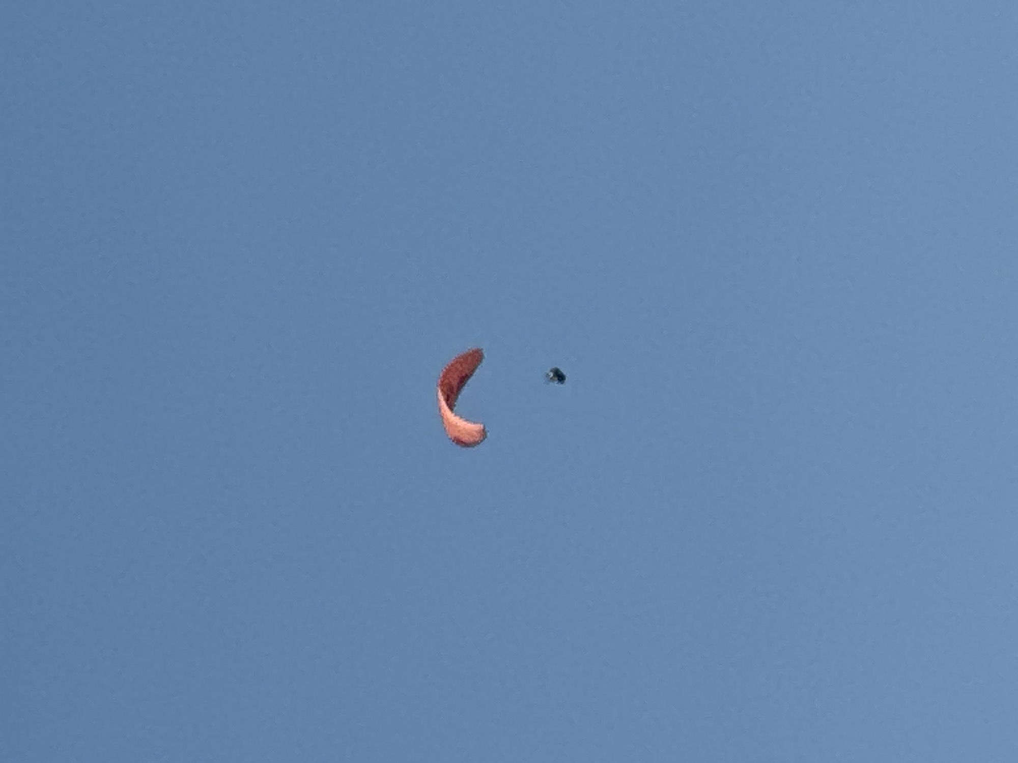 Paragliders over a busy Montenegrin beach afternoon