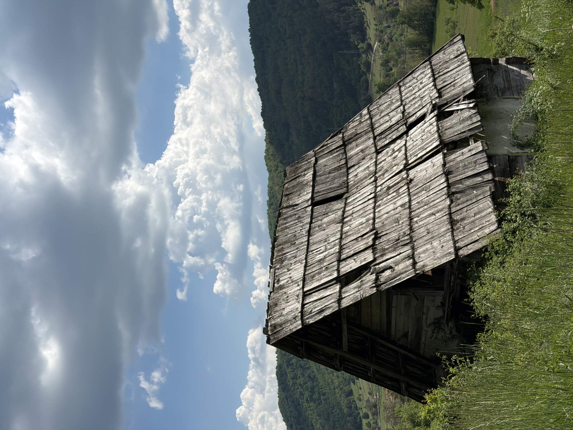 Rural Montenegro scenes captured: abandoned barn, grazing sheep