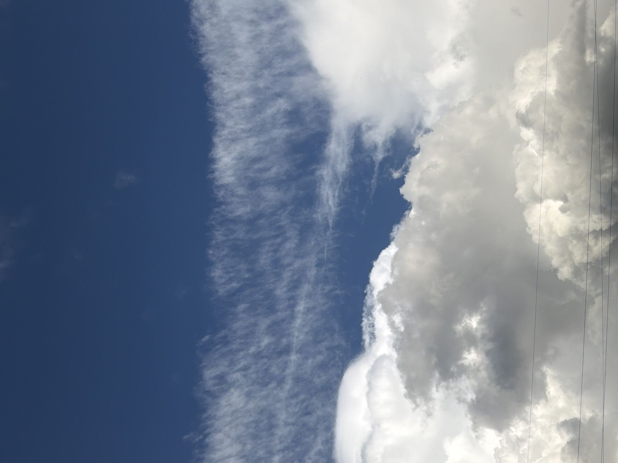 Mundane moments captured: cloud formations and snail sighting