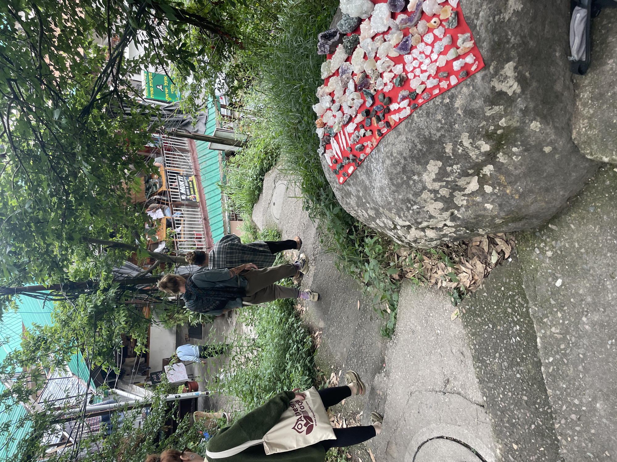 Tourist activities and rural life captured in Bhagsu India