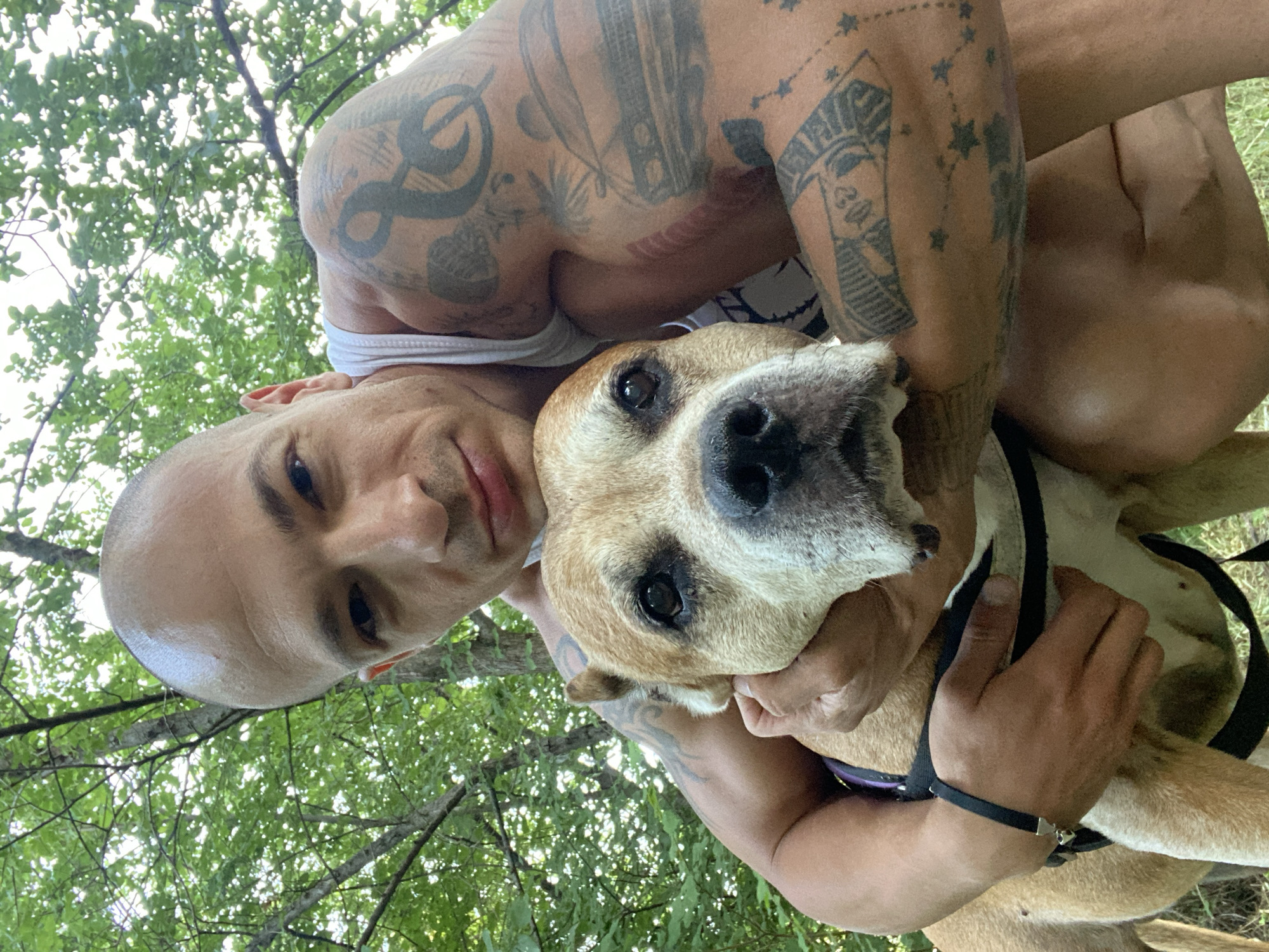 Person and dog share close moment in Pleven park