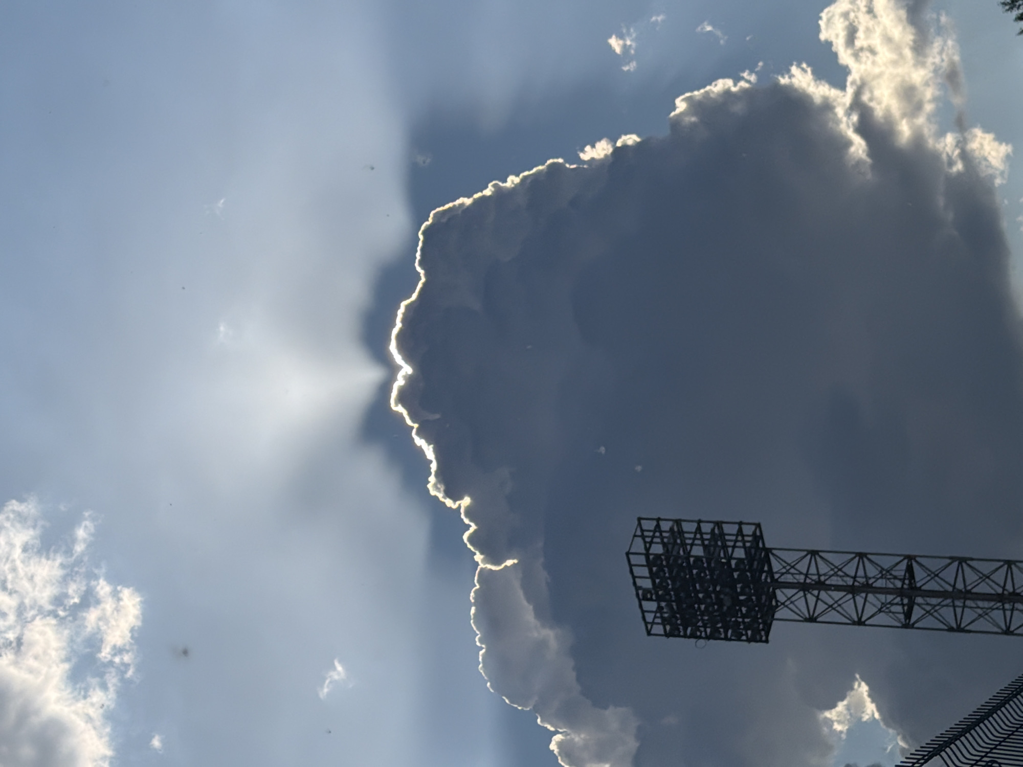 Afternoon documentation captures husky, barbecue, dramatic skies, urban nature