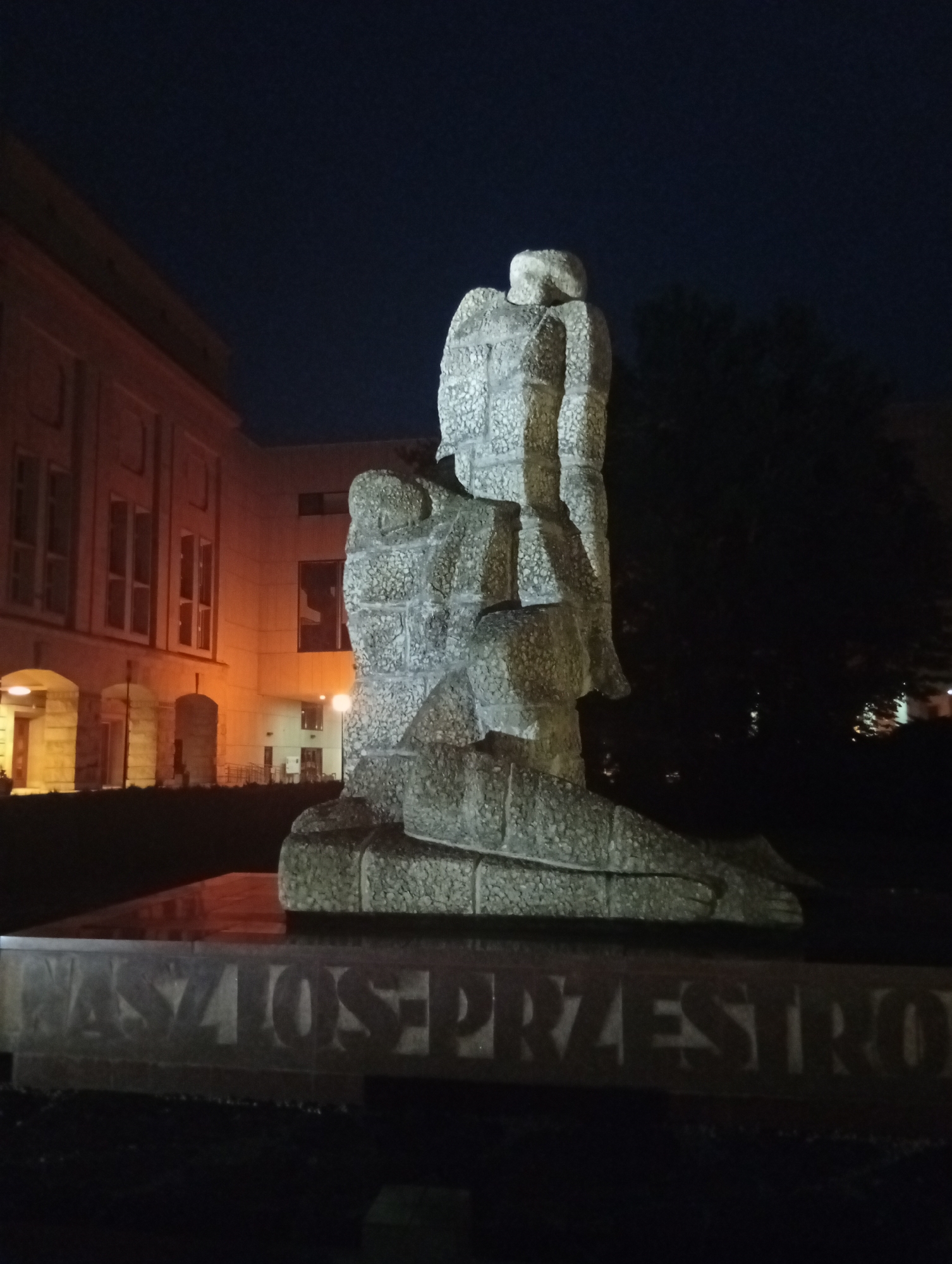 Wrocław at night: monument, shopping street, and bridge