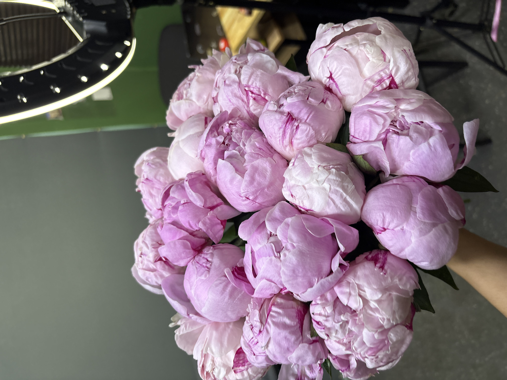 Pink peonies and red roses, close up in Moscow