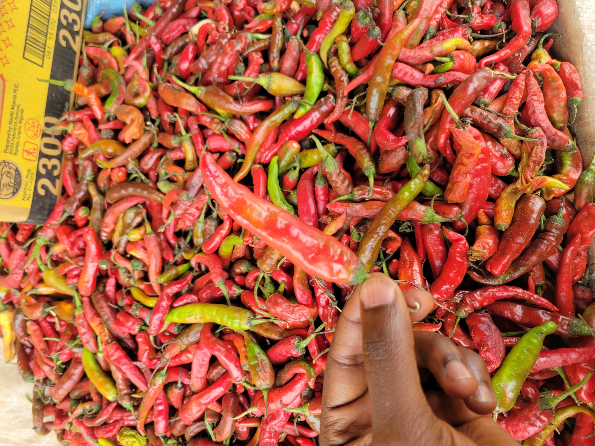 Market scenes captured in Jos showing chili peppers, children