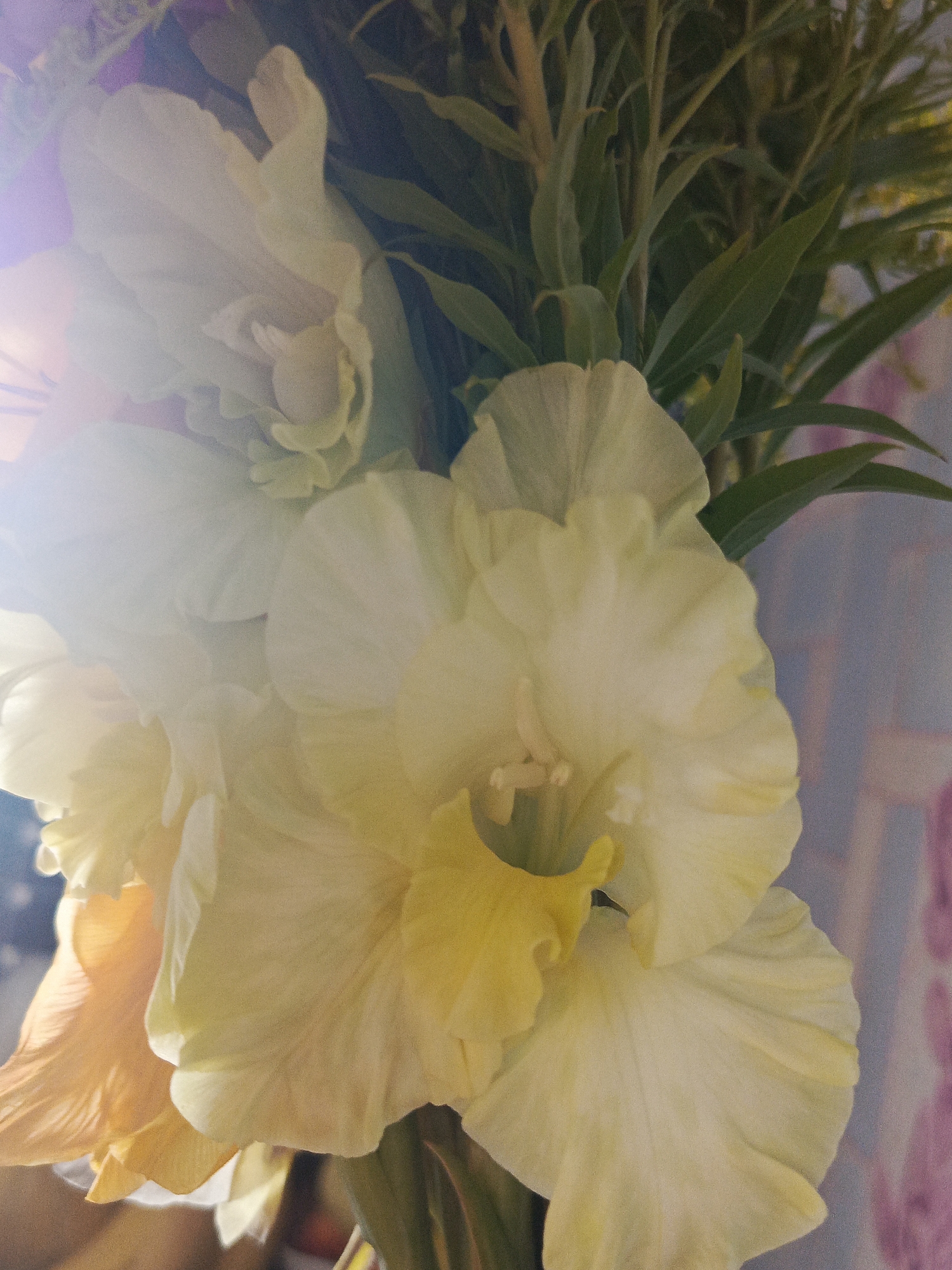 Close-up details of a colorful gladiolus bouquet