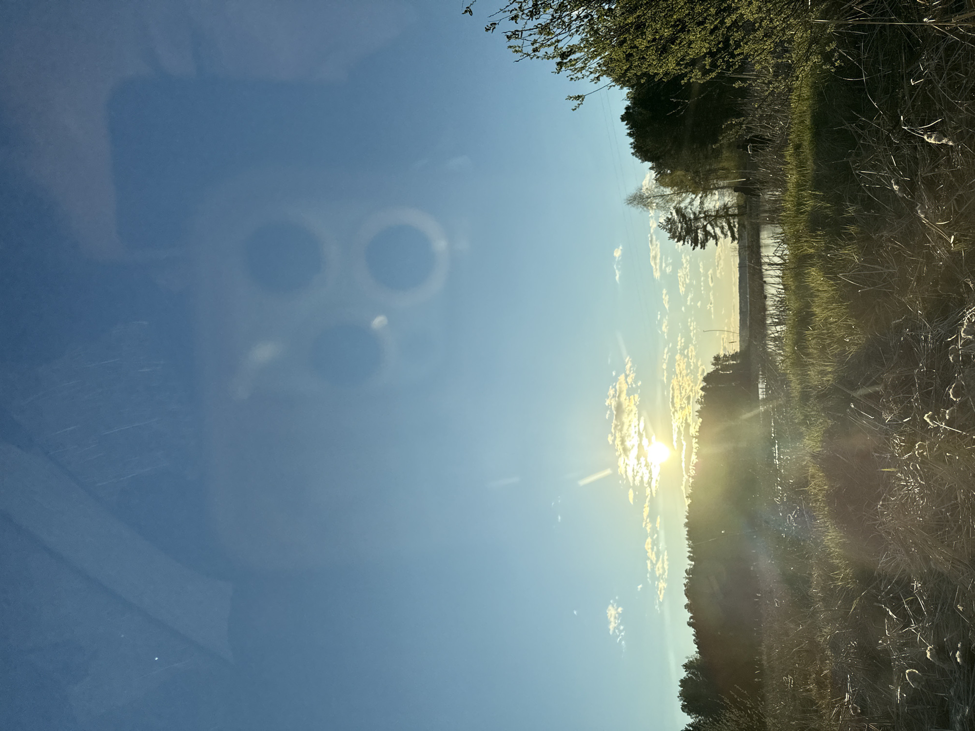 Scenic lake views documented near Chaikovsky, Russia
