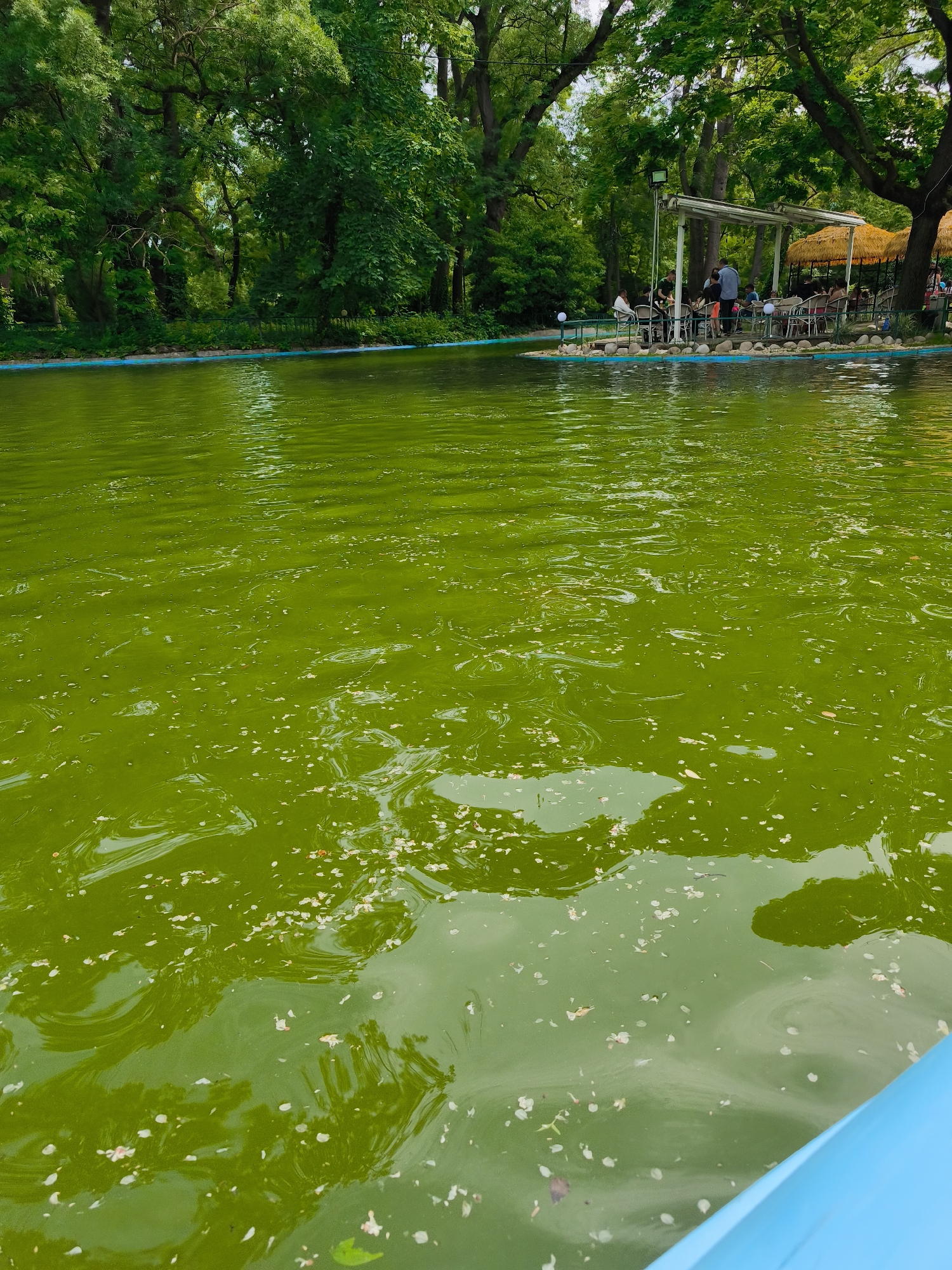Families enjoy paddle boats and rides at amusement park