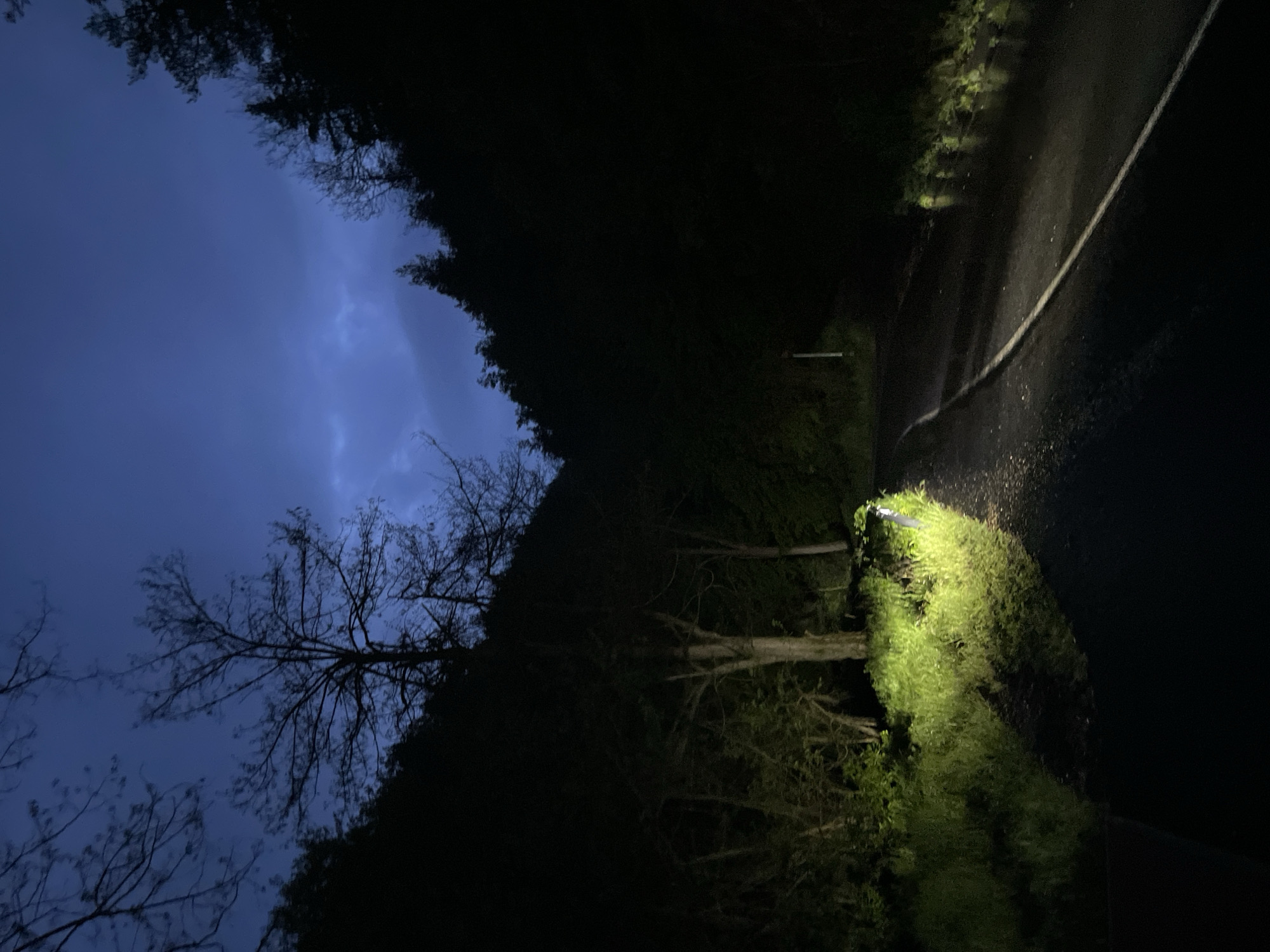 Nighttime drive documented in rainy Alamovtsi, Bulgaria