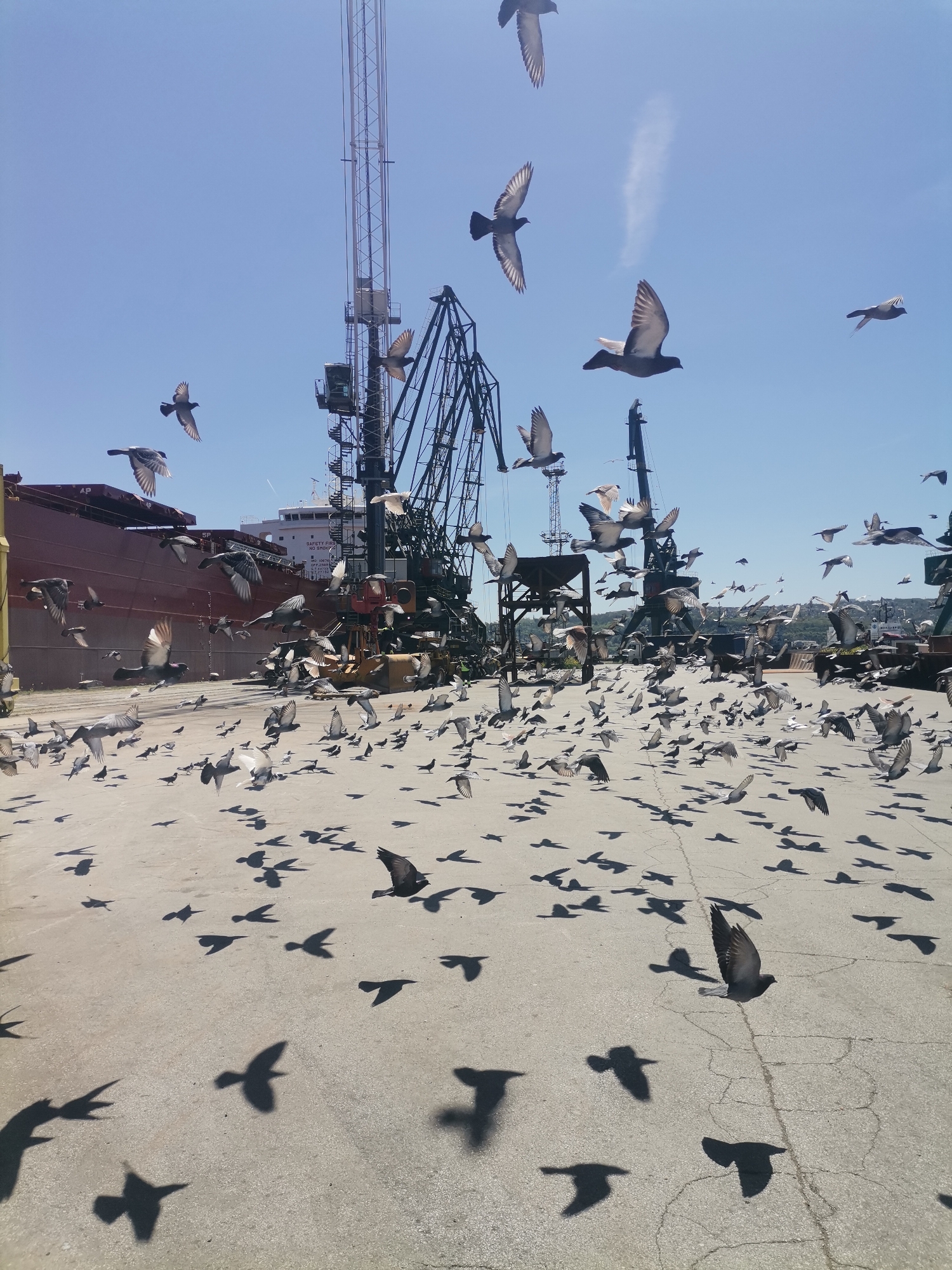 Routine port operations documented at Varna, Bulgaria during morning hours