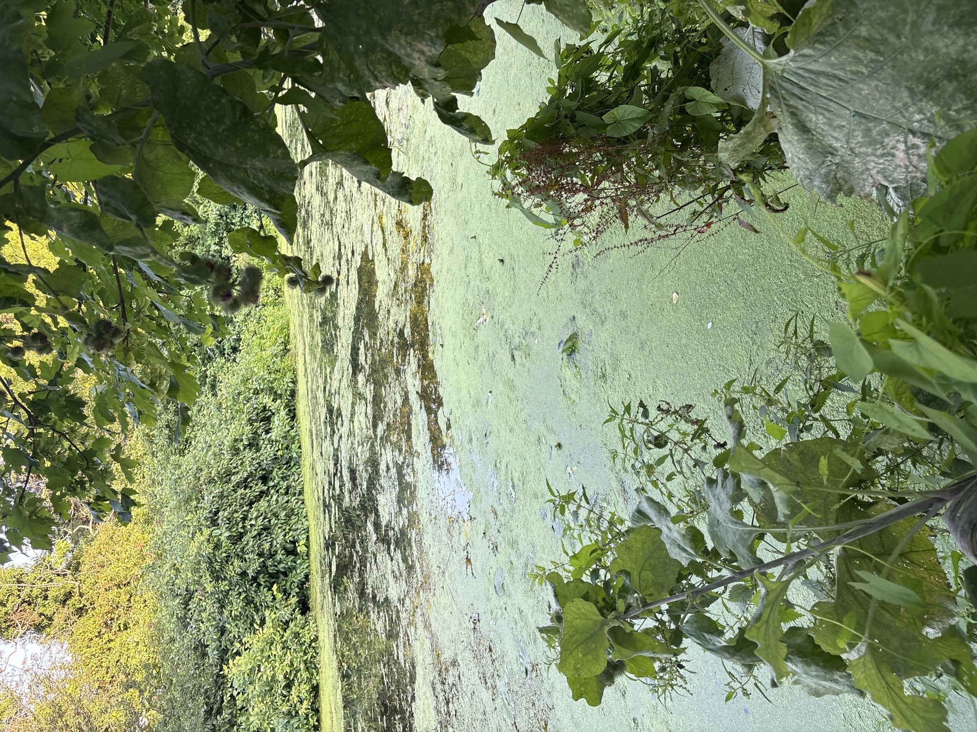 Chelmsford, United Kingdom