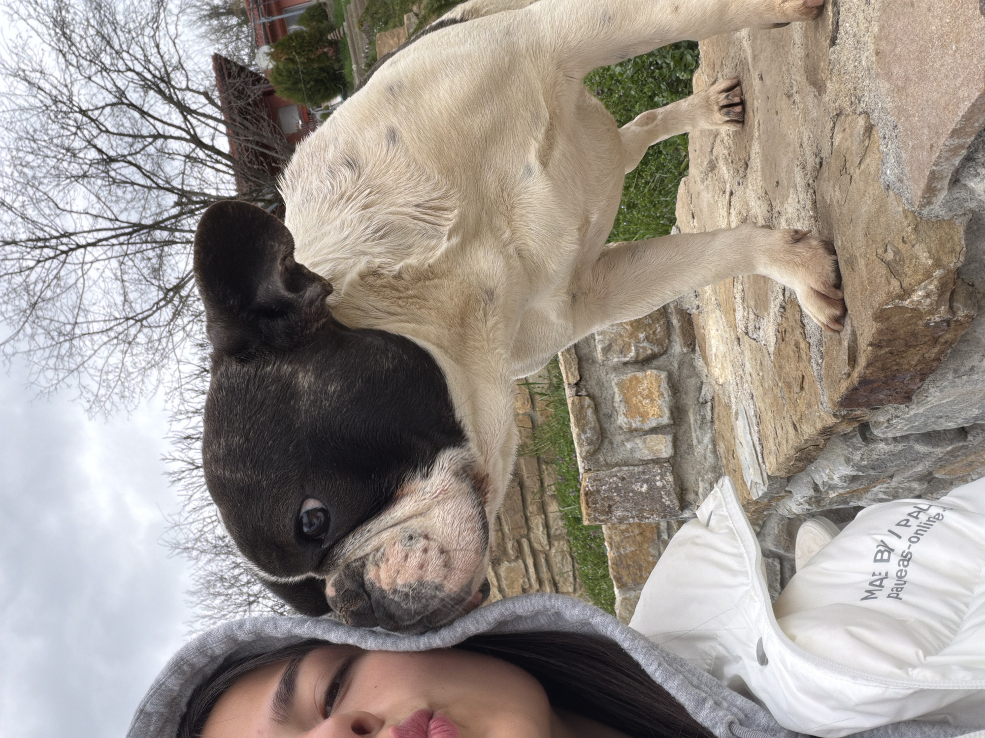 Woman plays with French Bulldog on stone wall in Bulgarian village