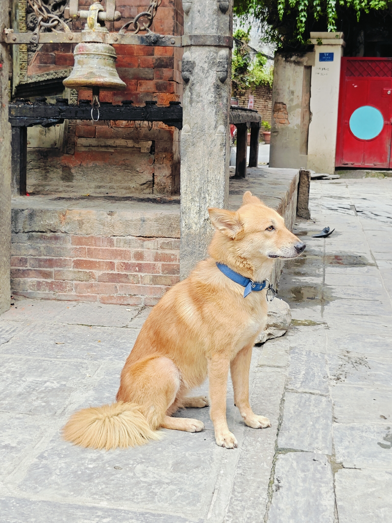 Morning wander through Patan's temples, courtyards, and backstreets