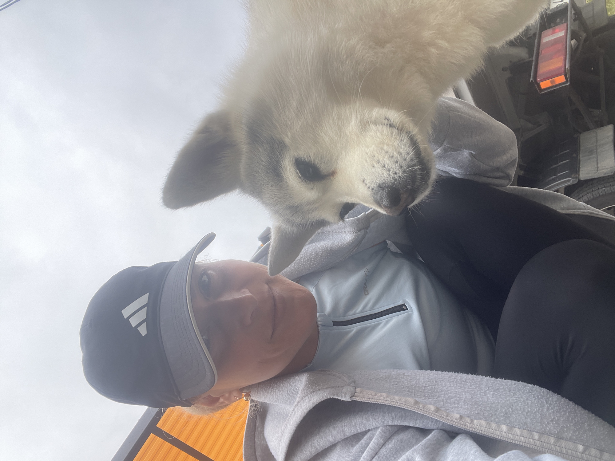 Morning moments with dog and resident in Baranovka, Russia