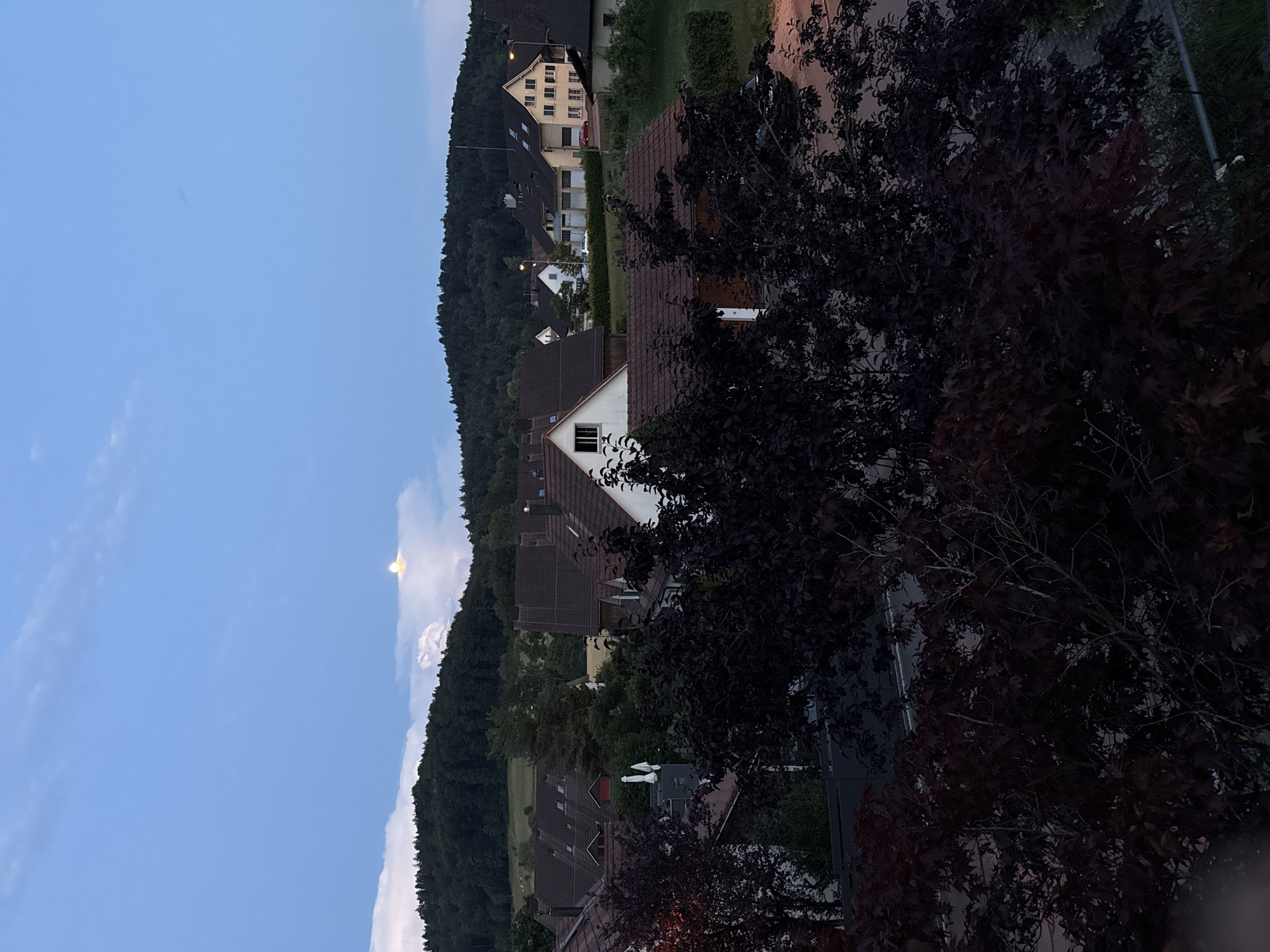 Summer evening on a Lufingen balcony, moon rising, tomatoes ripening