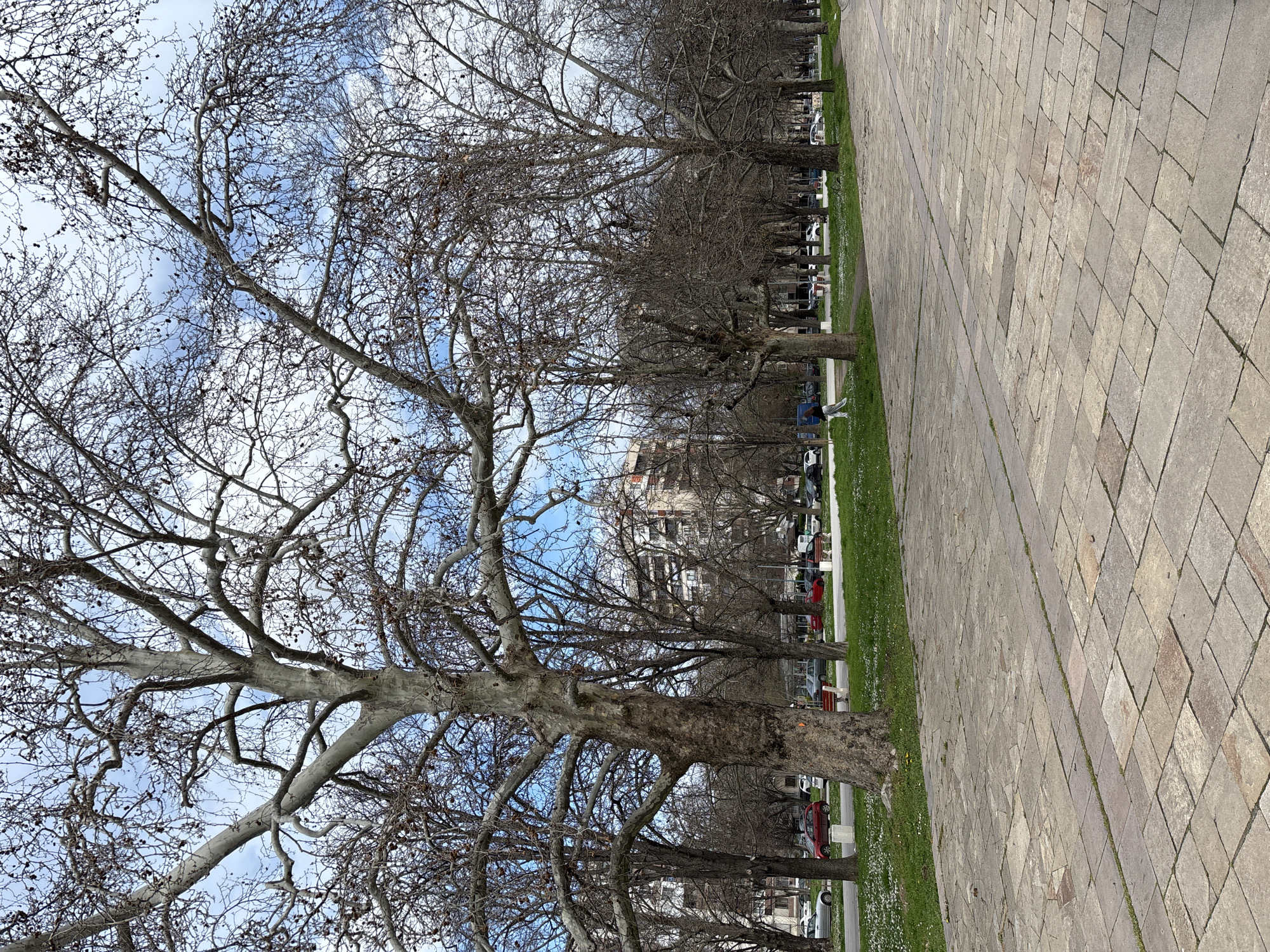 Baking and casual stroll documented in Plovdiv, Bulgaria