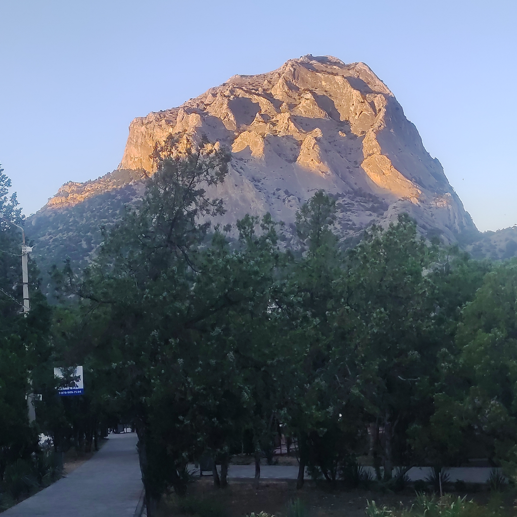 Mountain backdrop framing a tree-lined park path