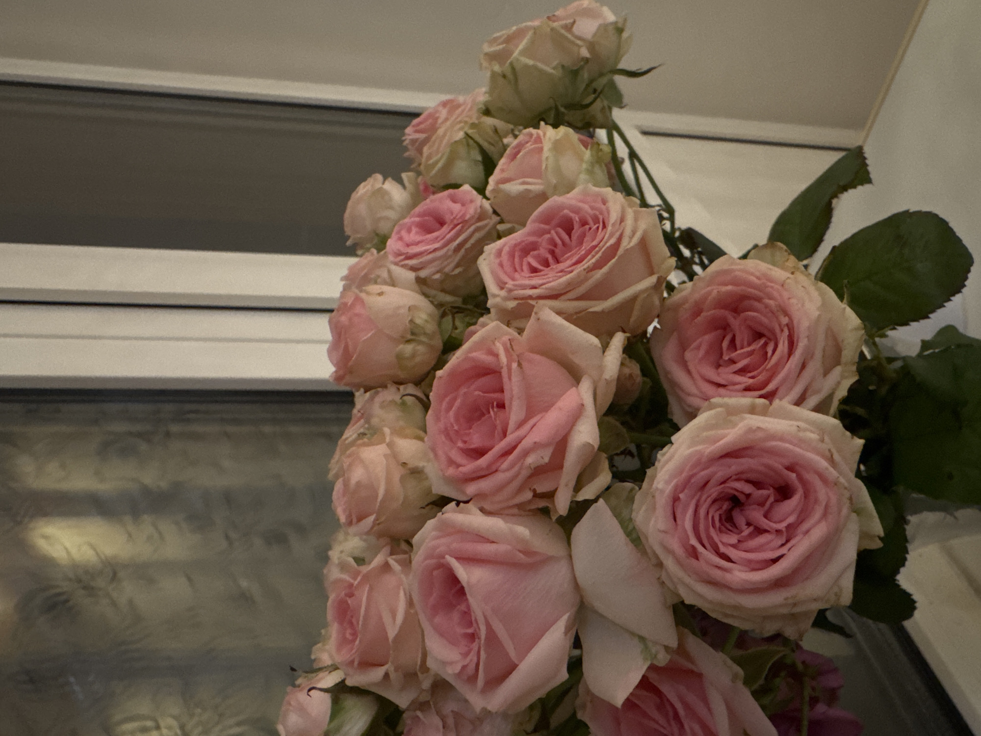 Pink rose bouquet spotted indoors in Dmitrov, Russia