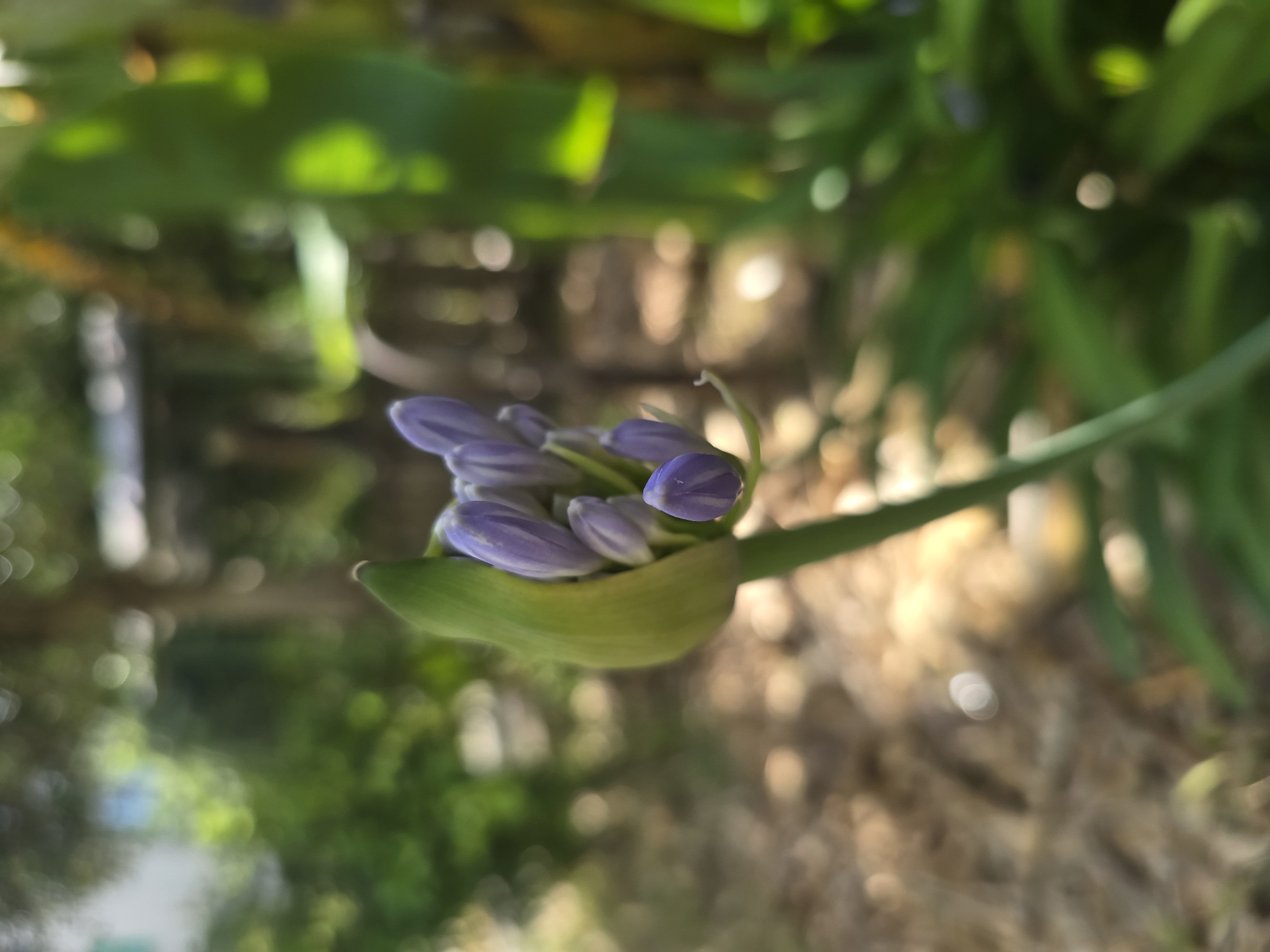 Casual outdoor photography documented in Salerno, Italy
