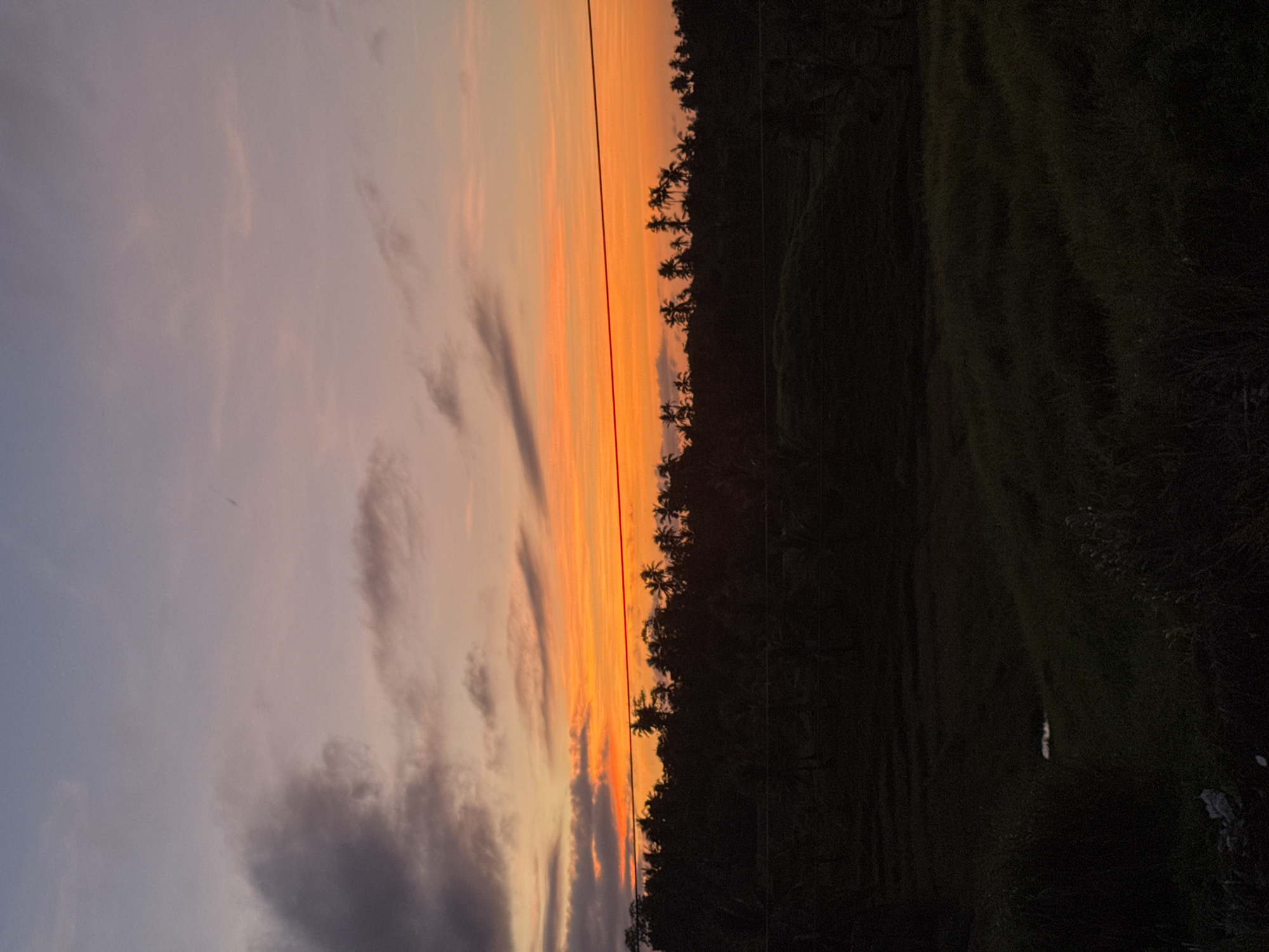 Vibrant sunset observed over palm-lined horizon in General Luna