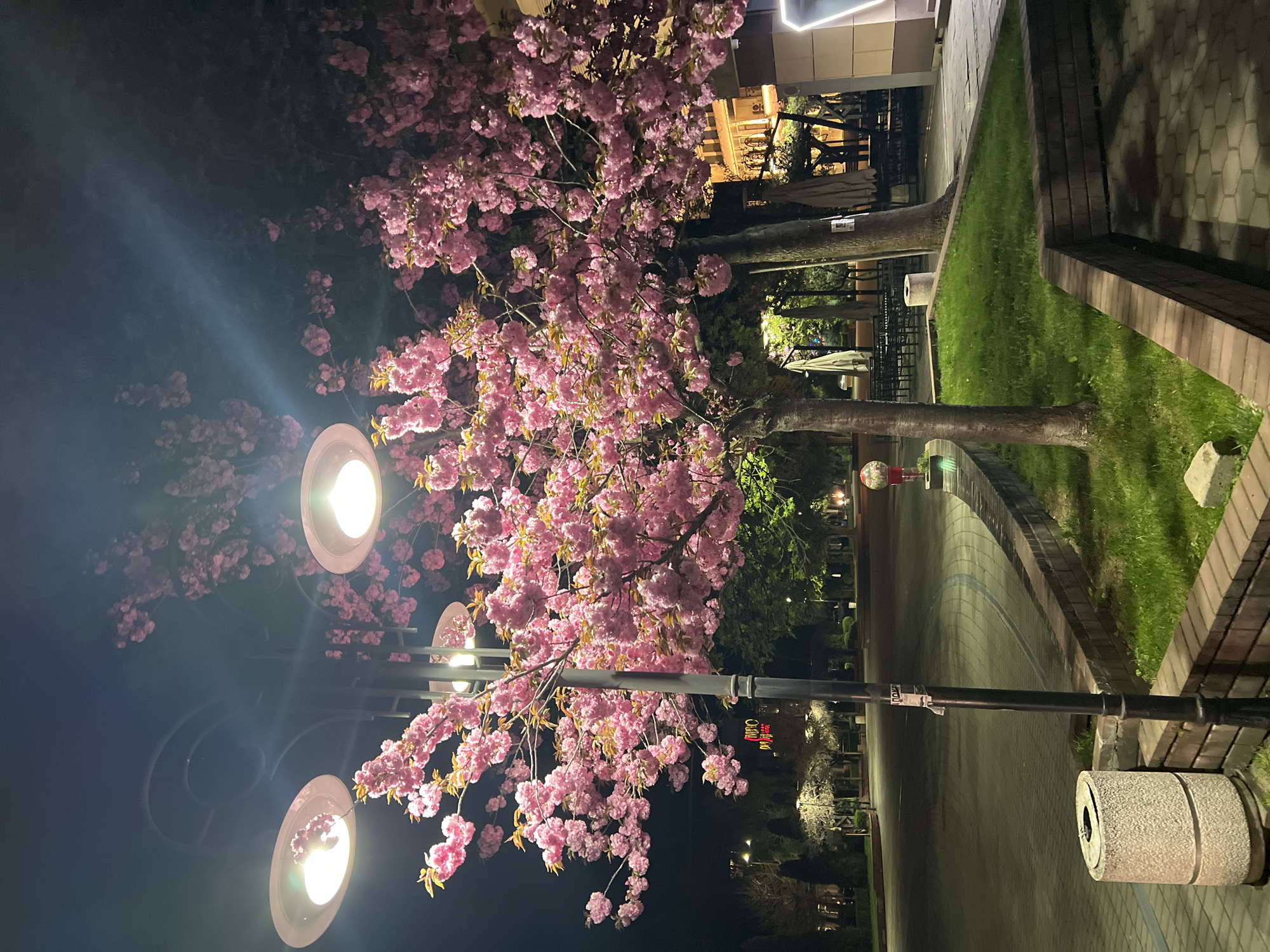 Spring evening moments captured in Sevlievo, Bulgaria
