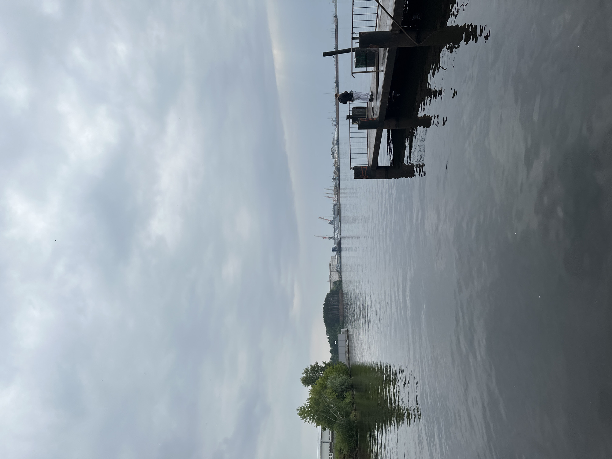 Overcast lakeside afternoon: forest, water, wildlife, and working waterfront