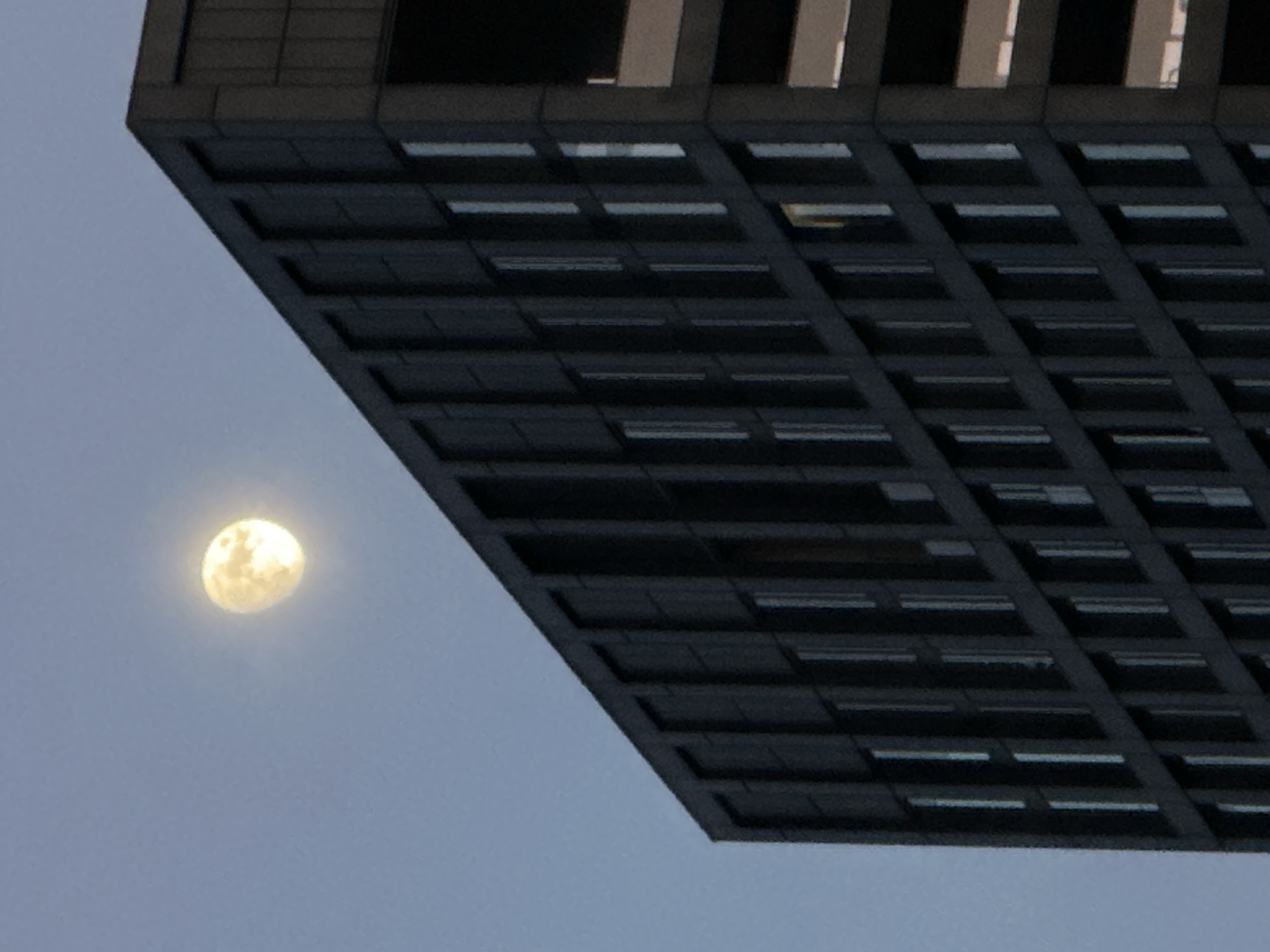 Full moon observed between modern buildings in Amsterdam