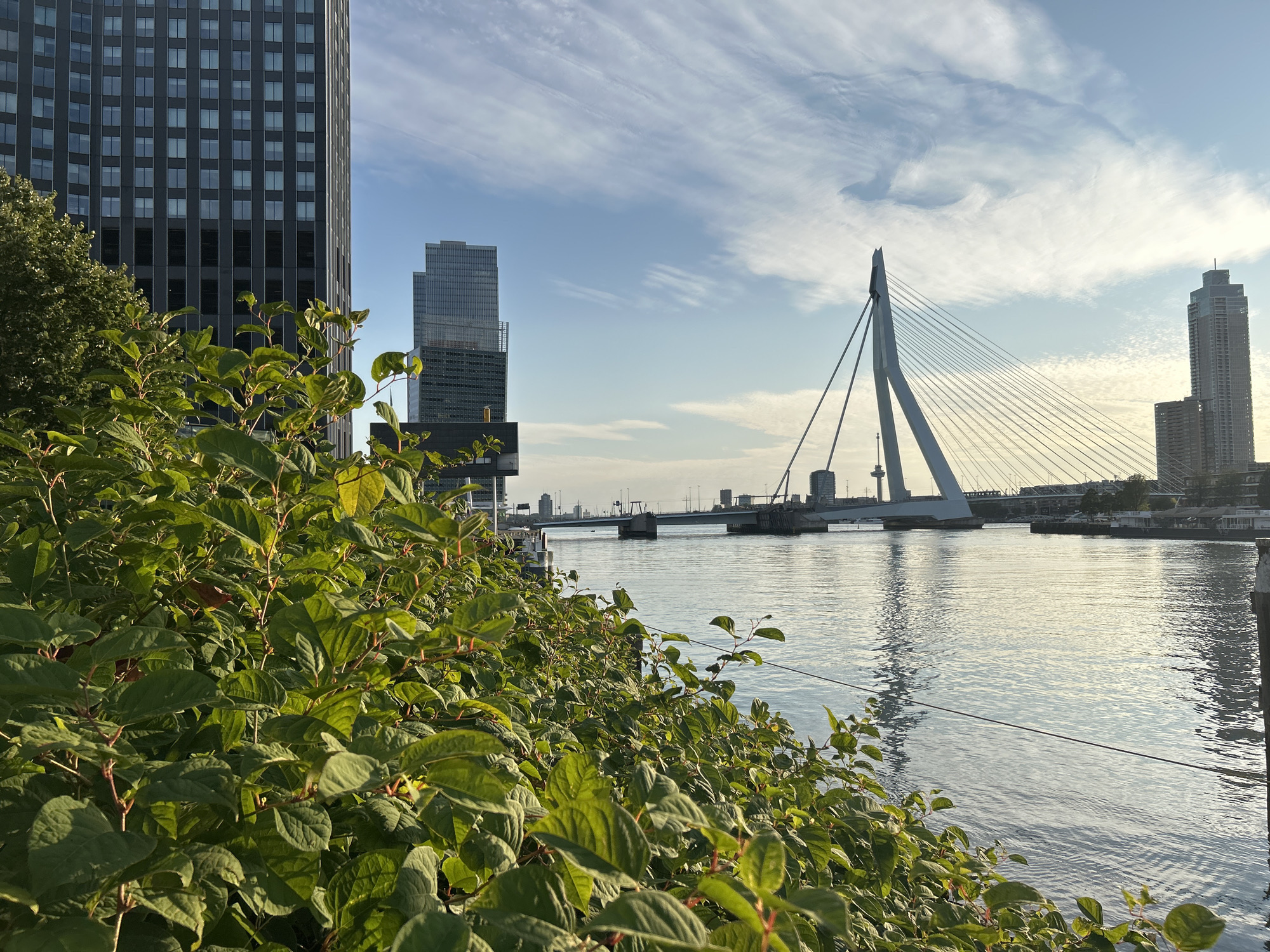 Rotterdam, Netherlands