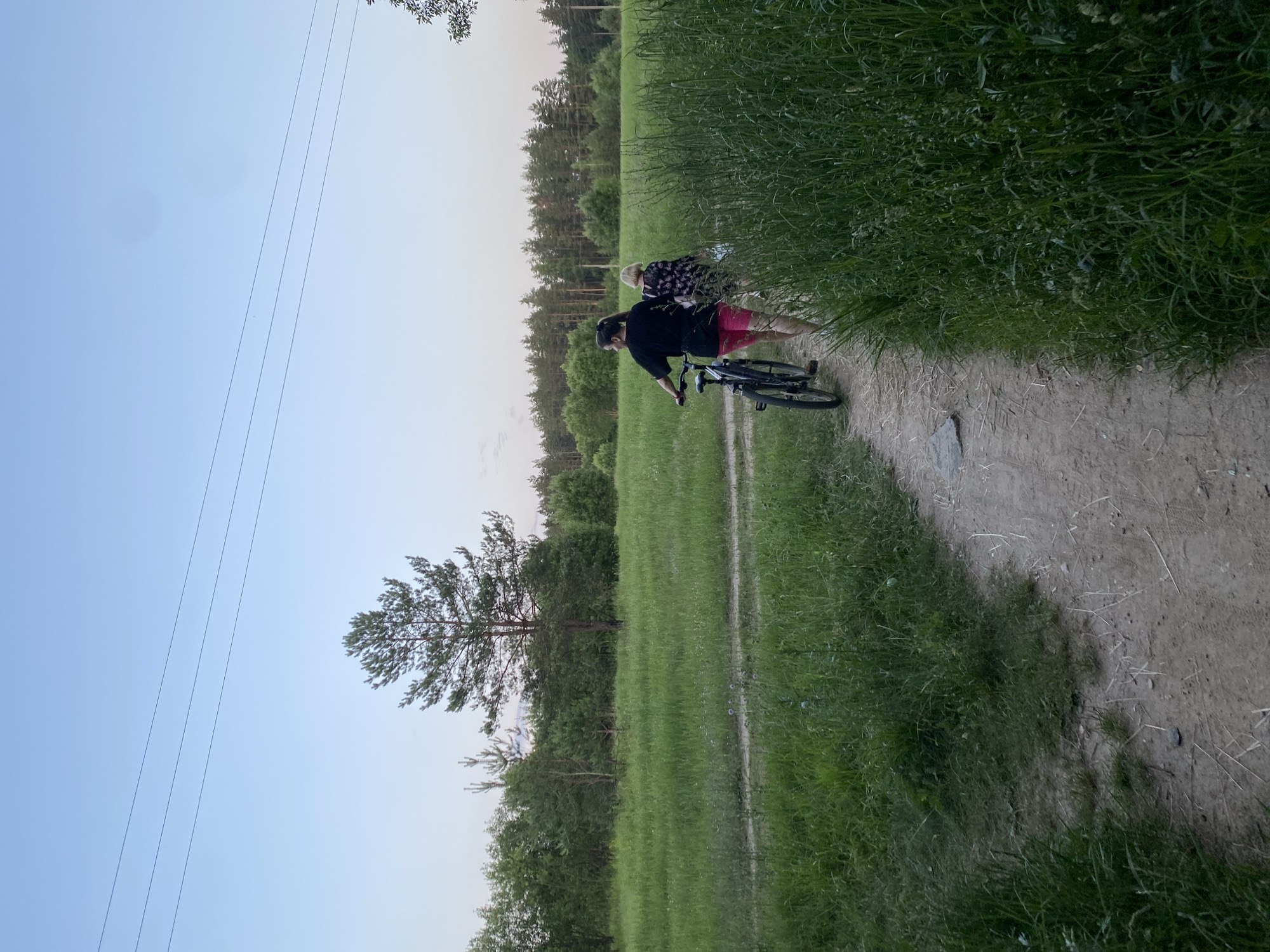 A casual walk along a dirt path through a Minsk-area field.