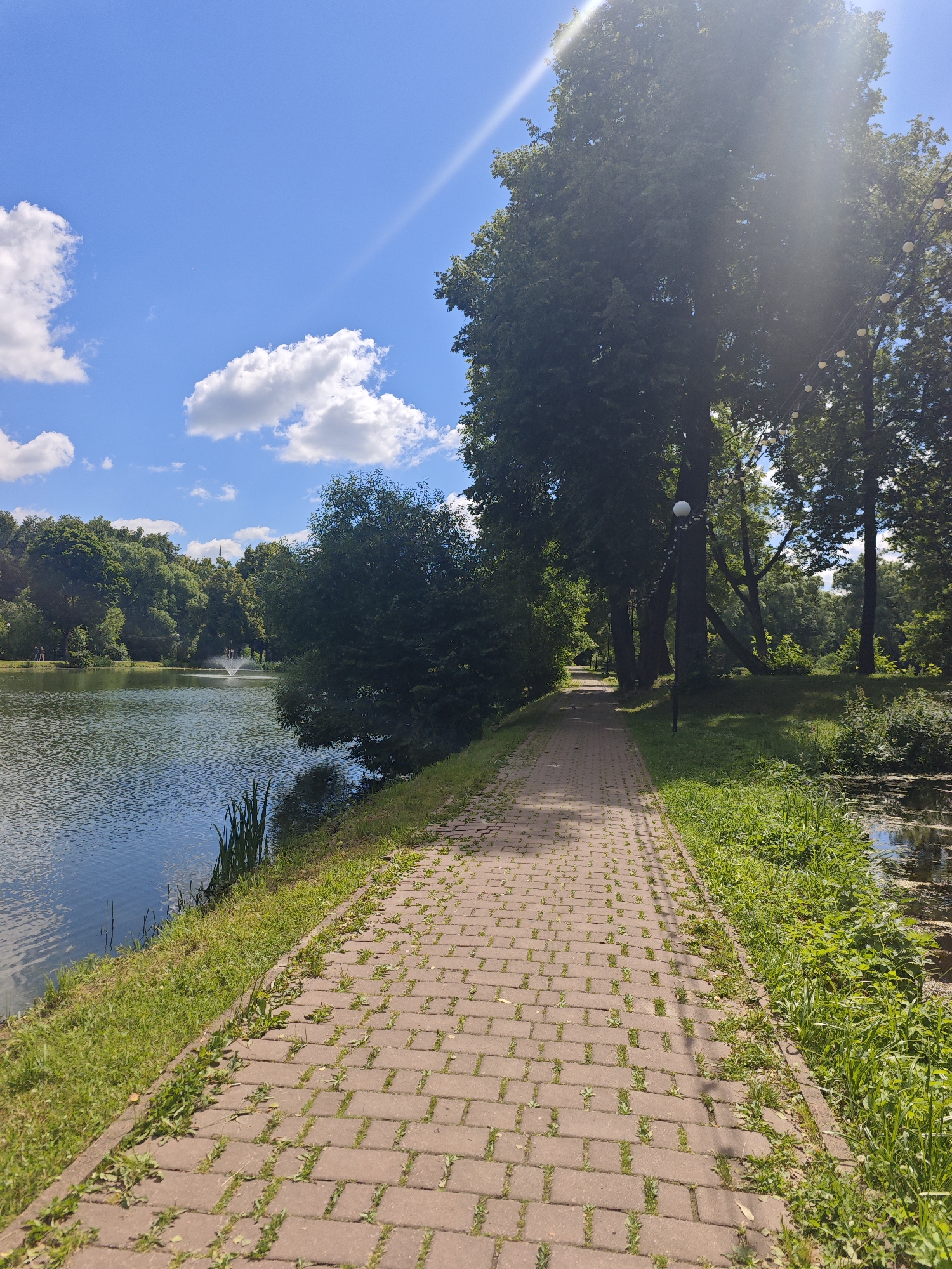 Summer morning in a Chekhov park, ponds and carousels