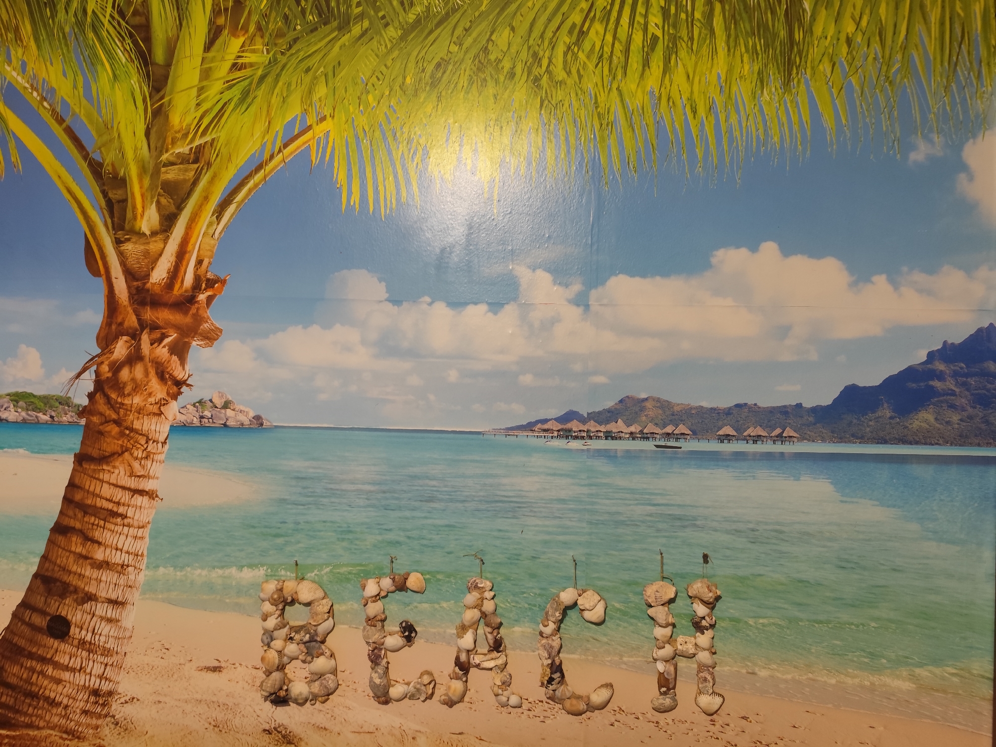 Fridge covered in travel magnets, home décor details, Montana Bulgaria