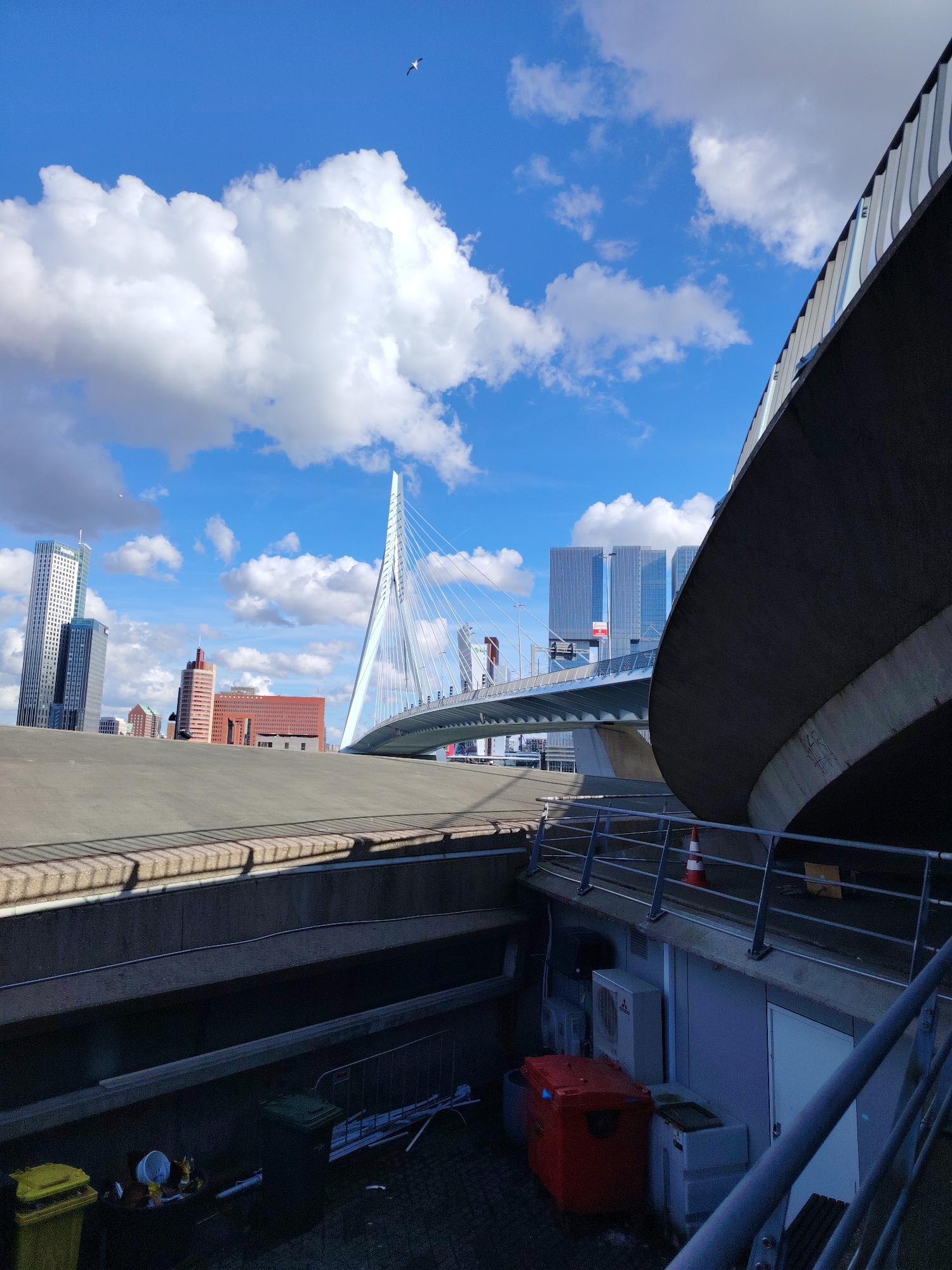 Rotterdam waterfront scenes captured featuring Erasmus Bridge and docked vessel
