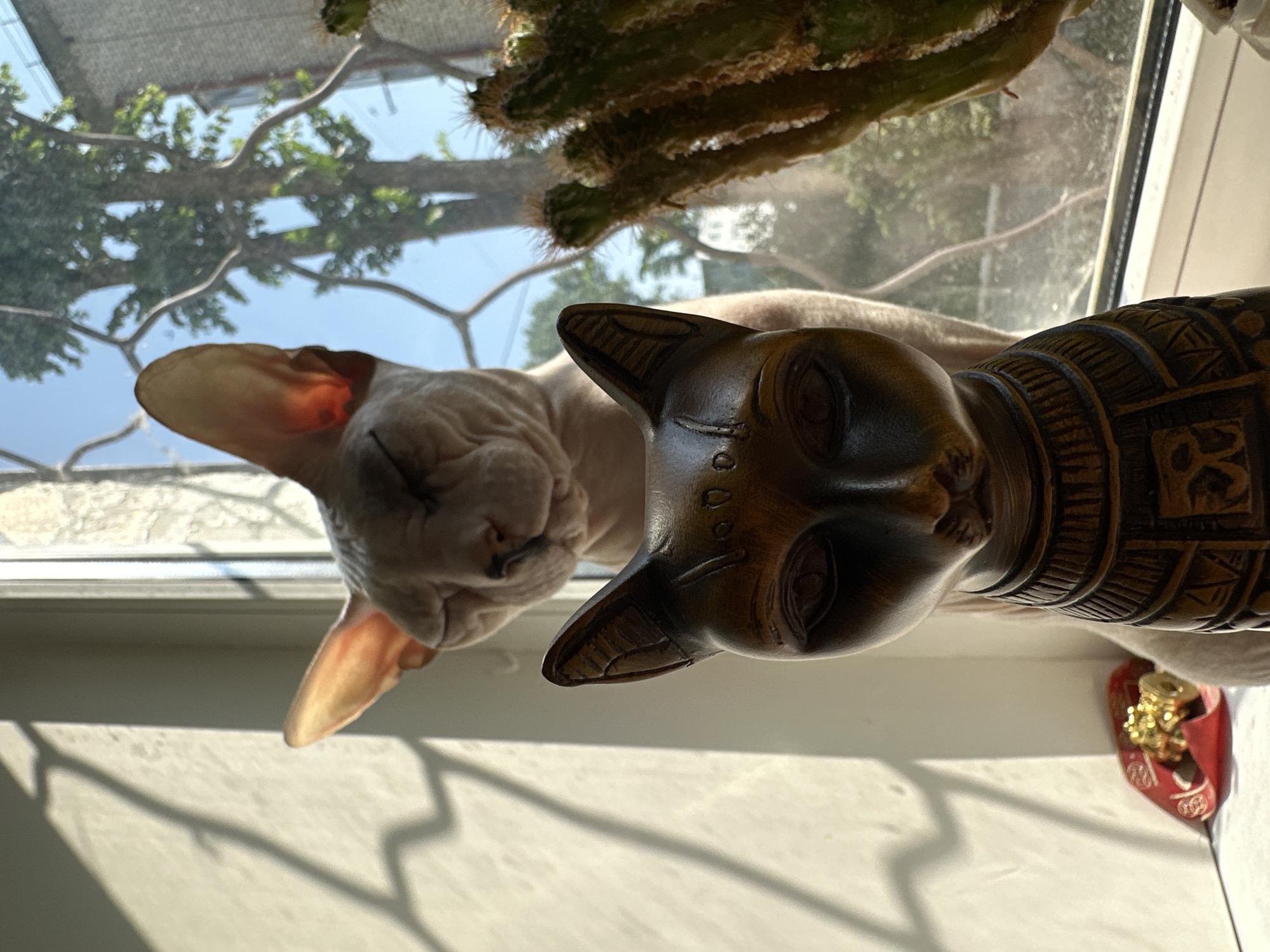 Sphynx cat lounges on a sunlit windowsill with Egyptian decor