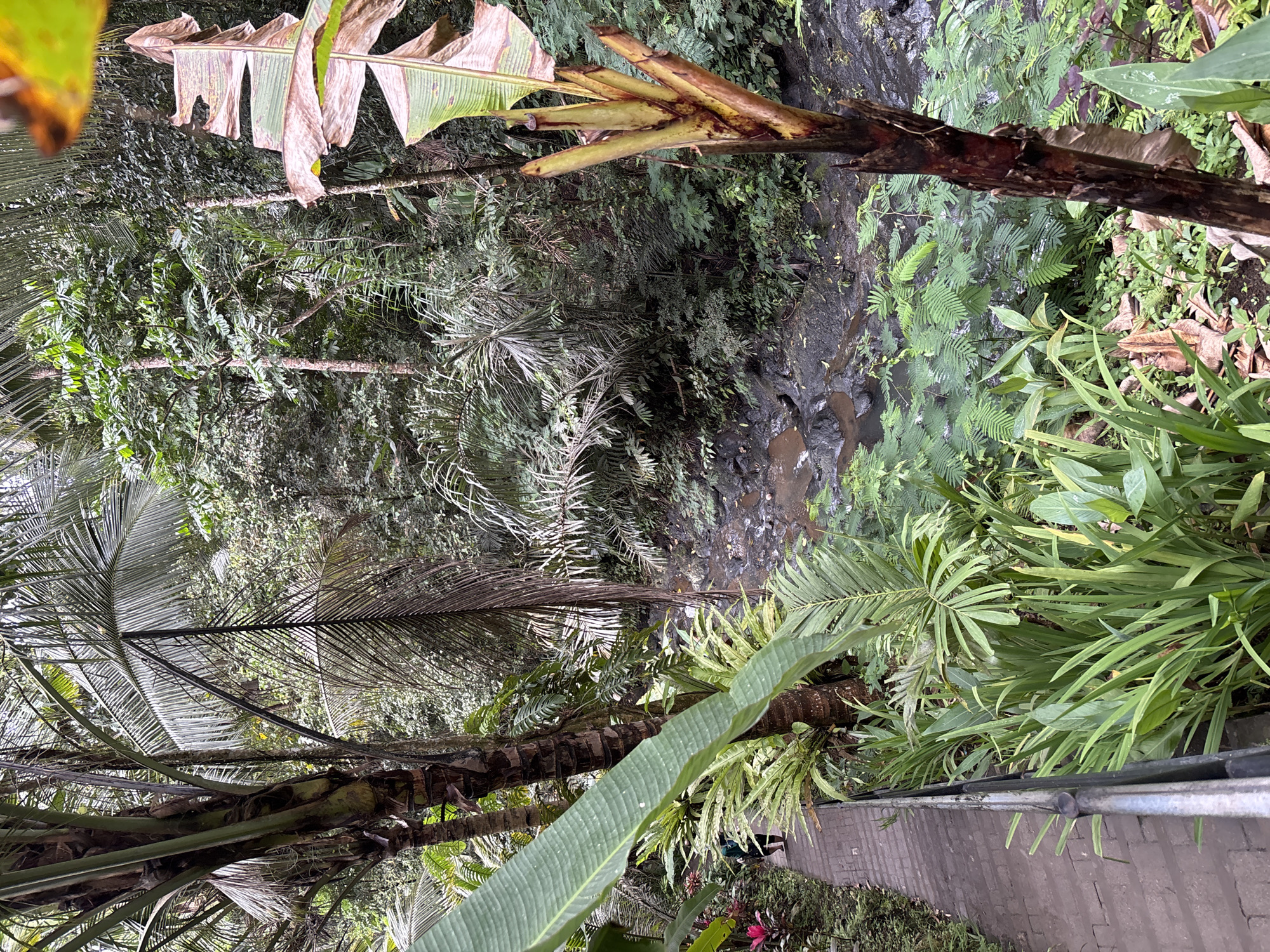 Exploring a jungle waterfall in Sidemen, Indonesia