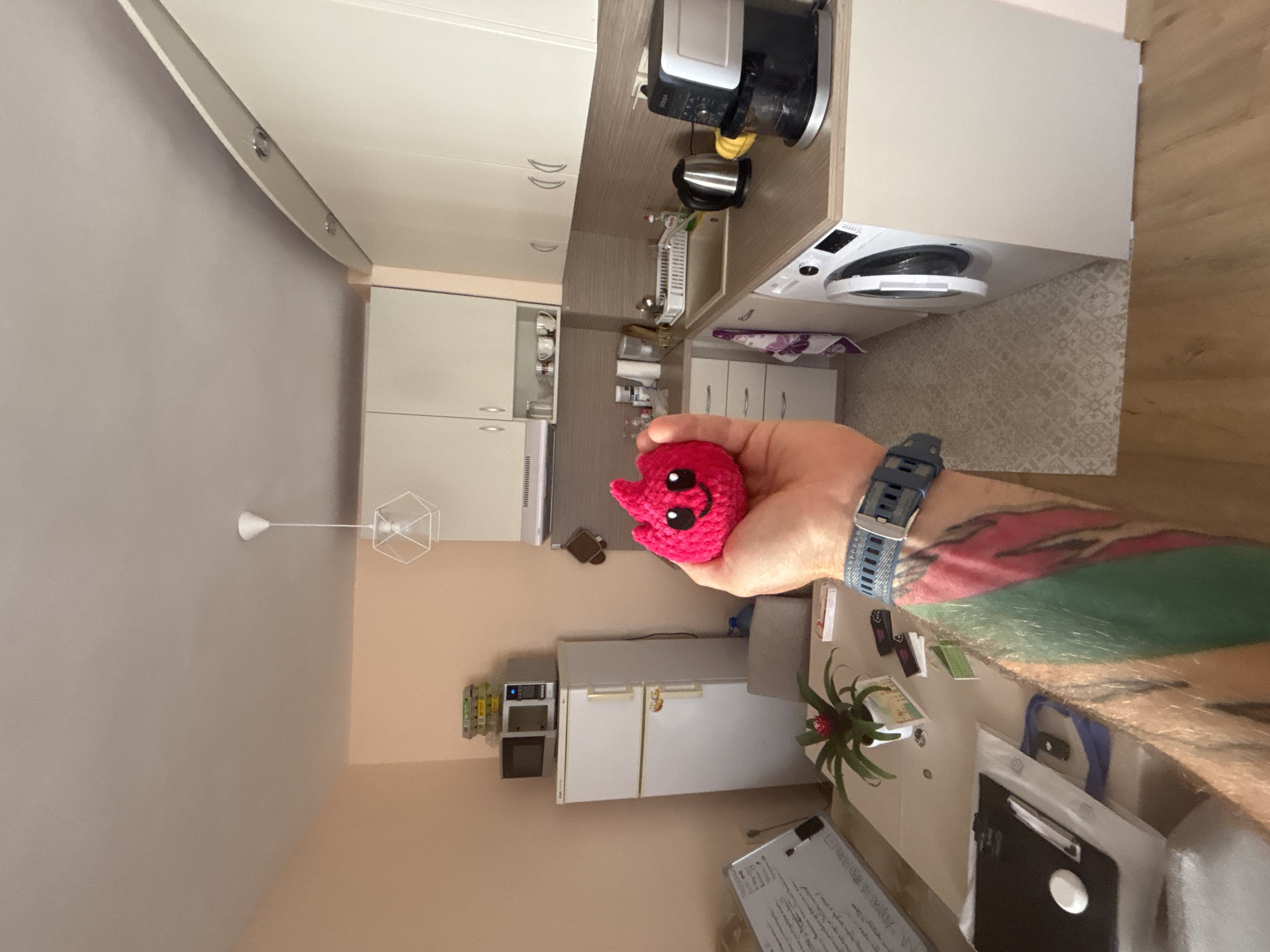 Morning apartment hangout with pink crocheted toy in Varna