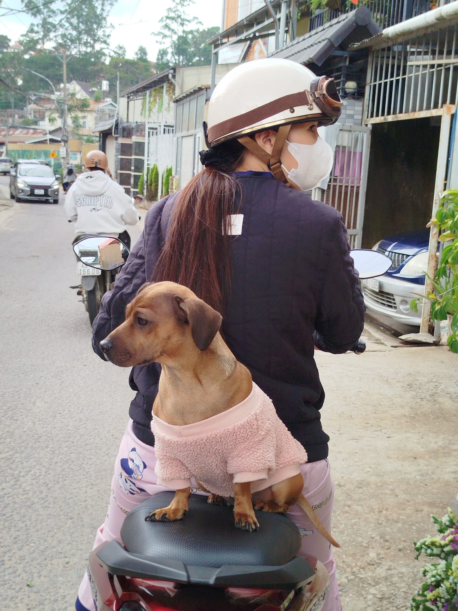 Morning street life documented in Da Lat, Vietnam