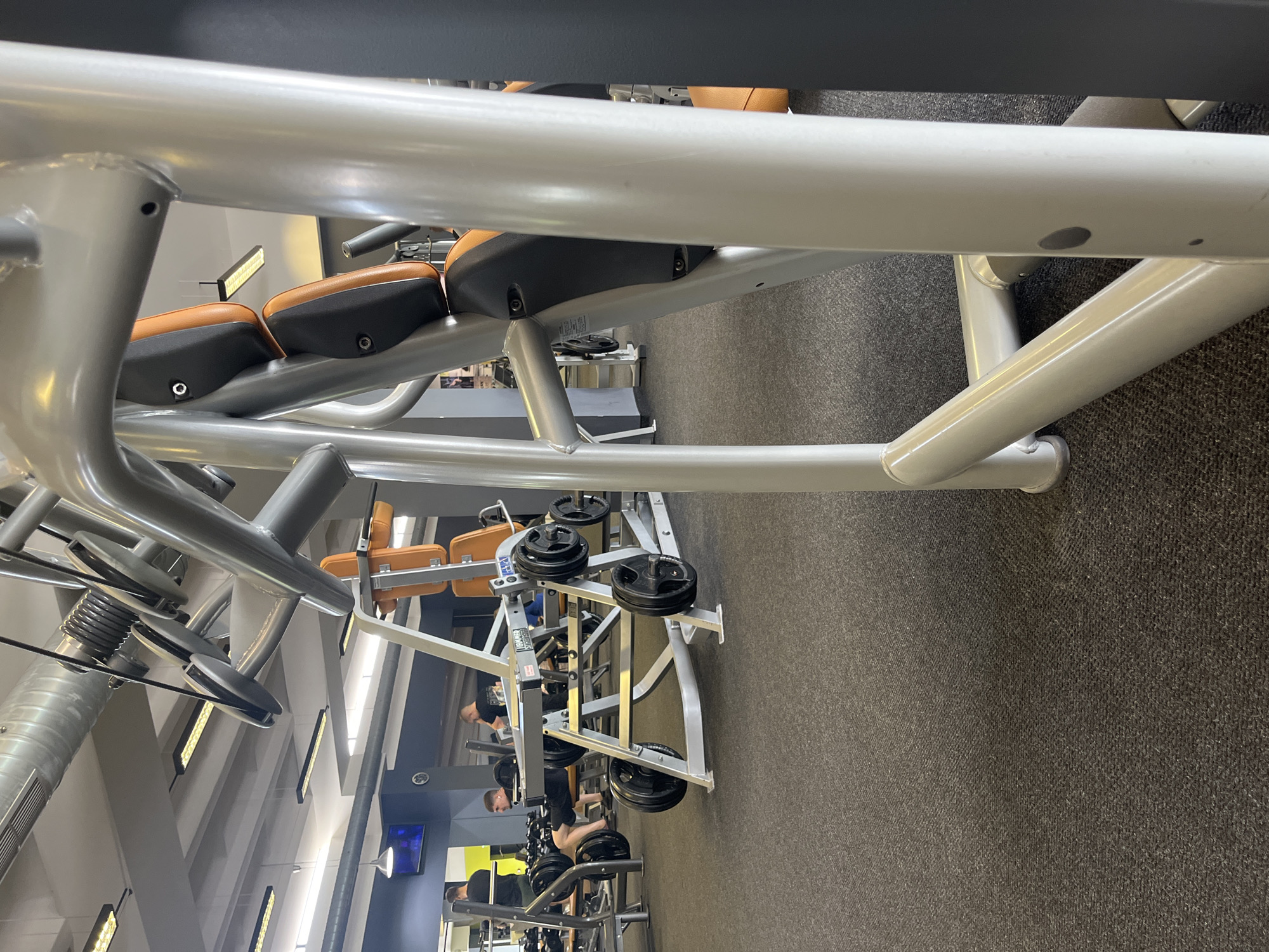 Routine gym session and playful dog moments captured in Blagoevgrad